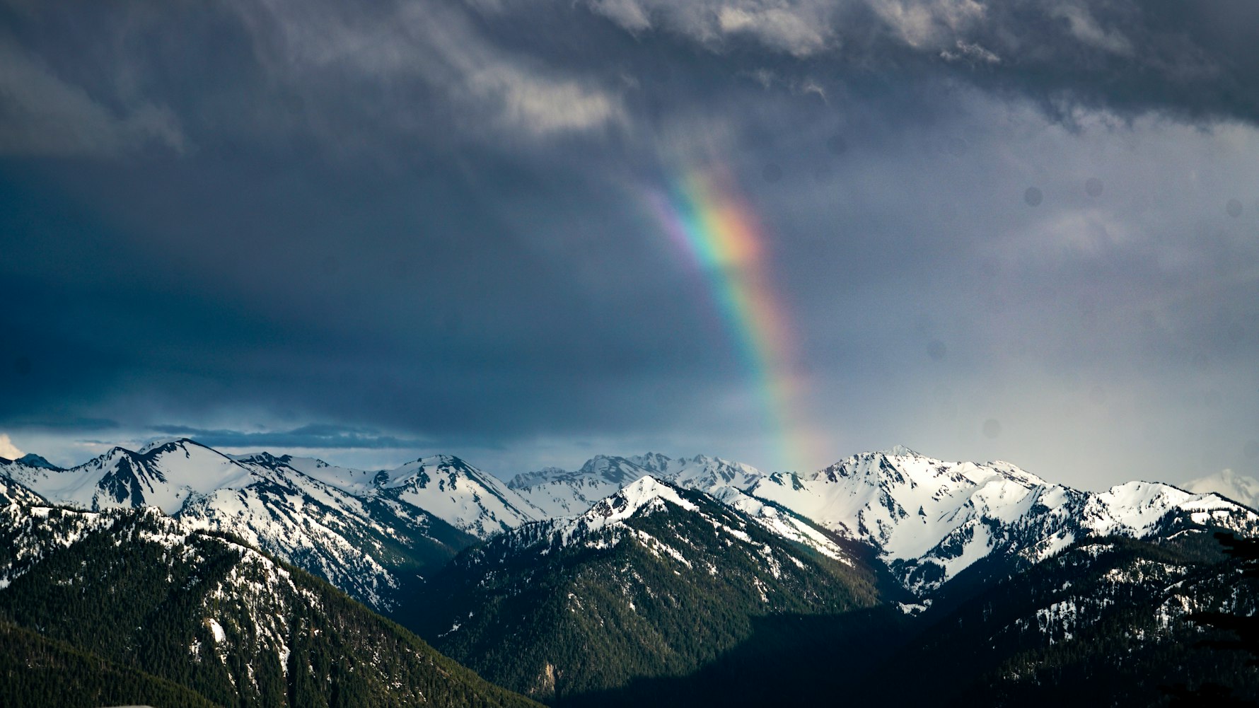 最新莱芜文石摄影,自然之美的艺术捕捉之旅