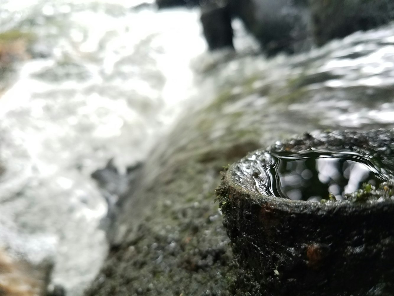 蓝光公园1号新动态,城市绿色生活新篇章揭秘