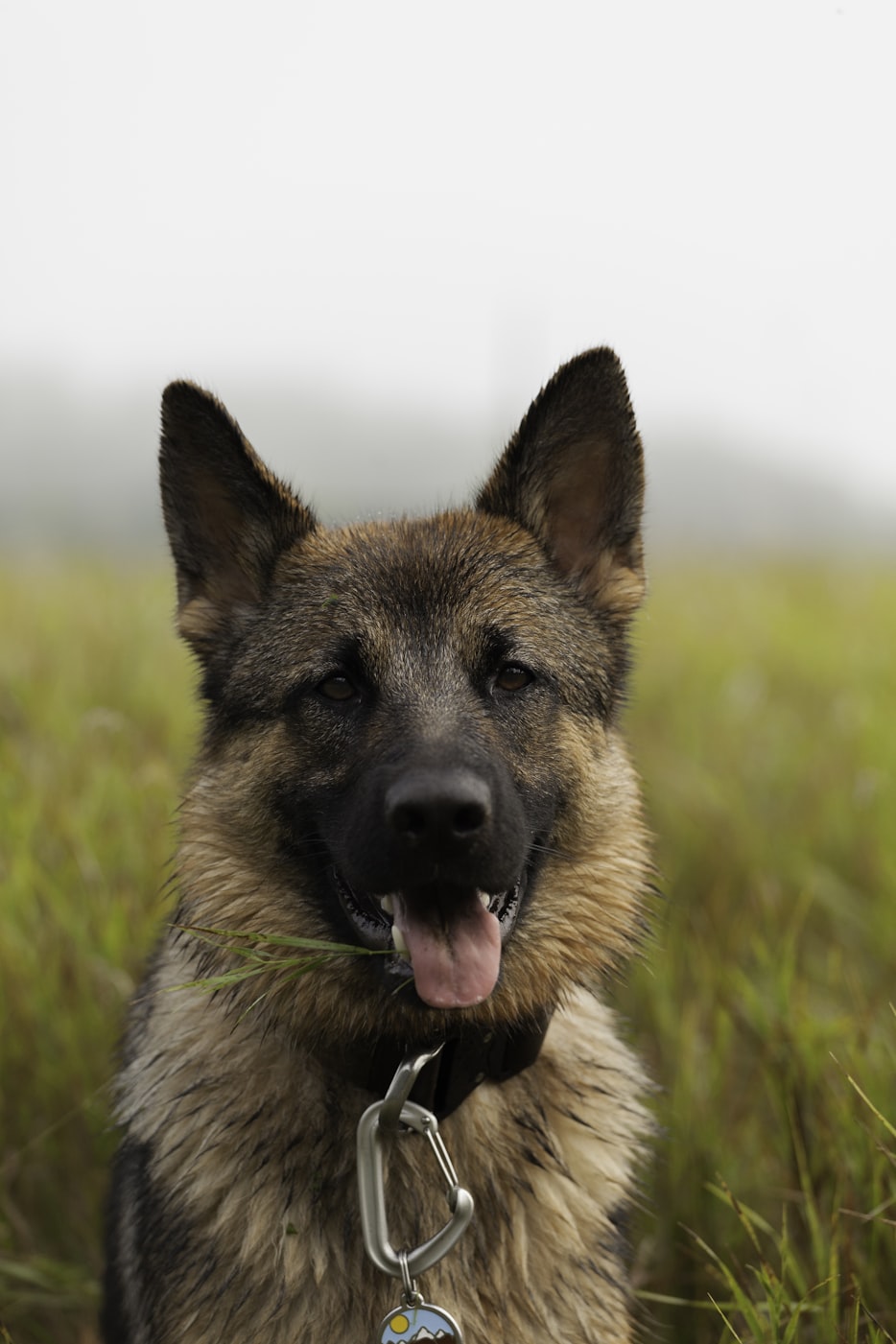 蓝光公园1号新动态,城市绿色生活新篇章揭秘