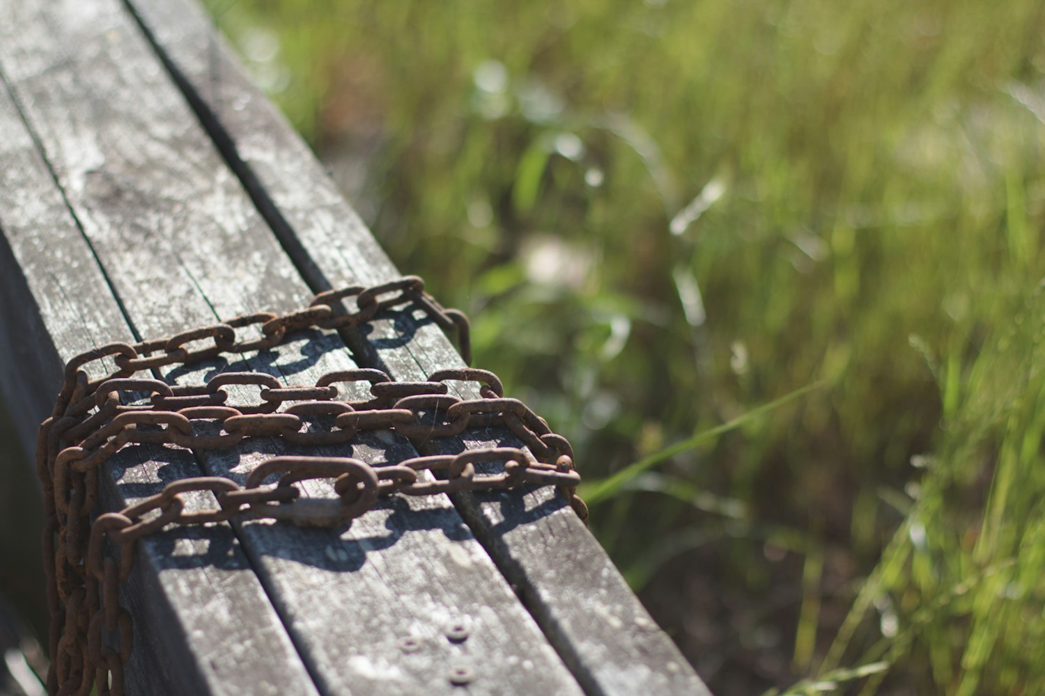 云飘飘新动态揭秘,未来科技与生活的新探索领域
