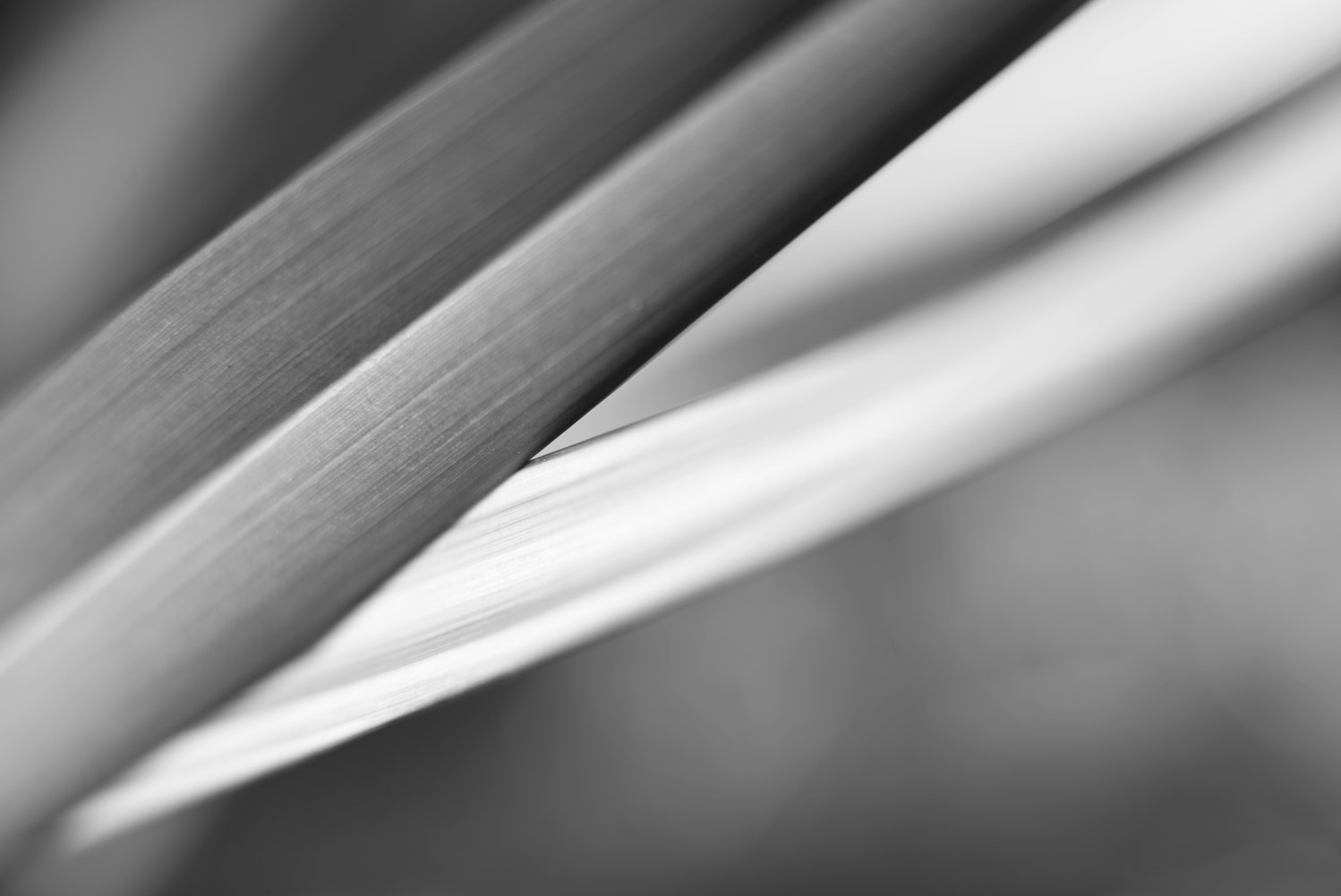 云飘飘新动态揭秘,未来科技与生活的新探索领域