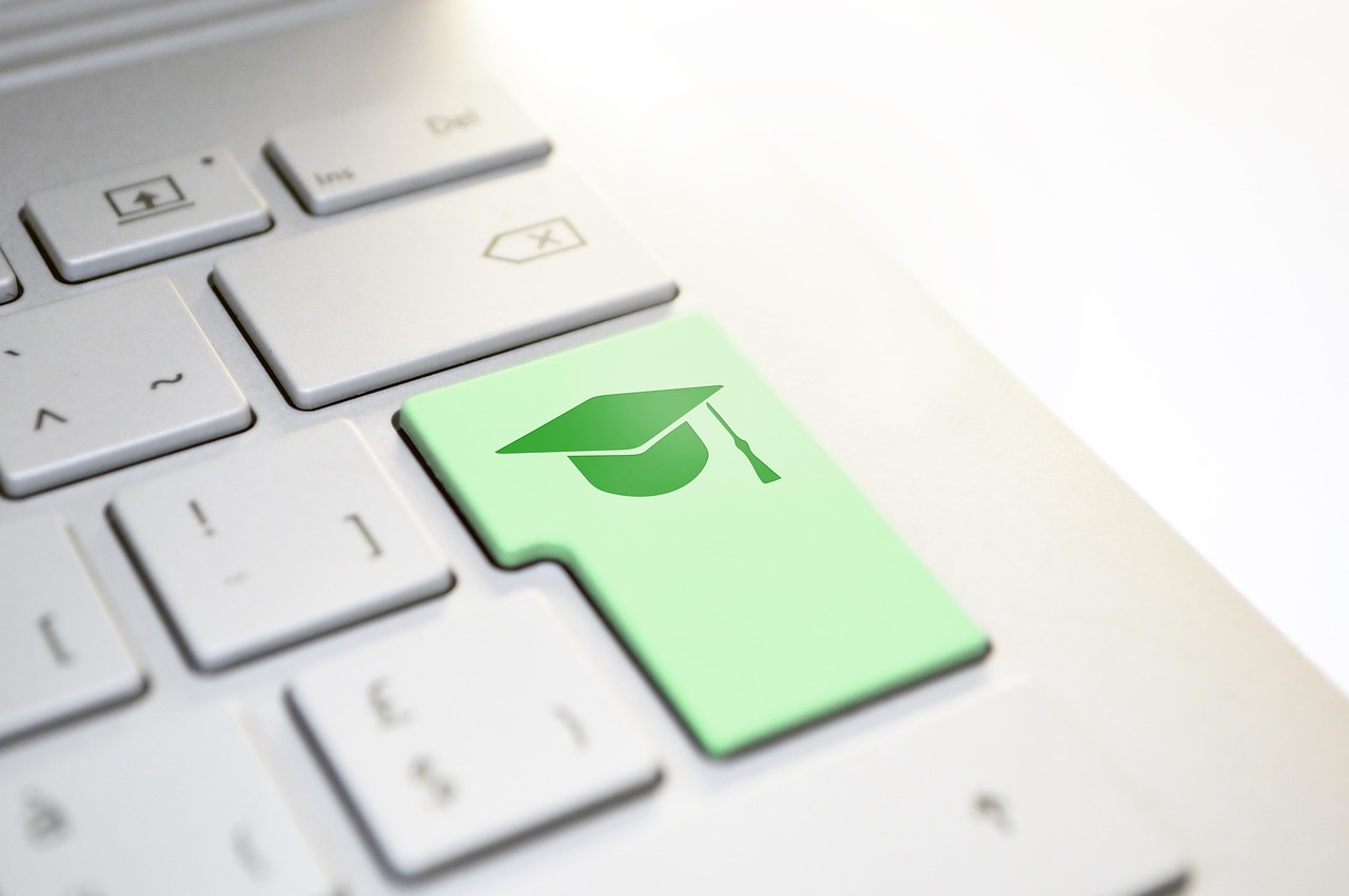 京东,数字时代的零售巨头最新简介