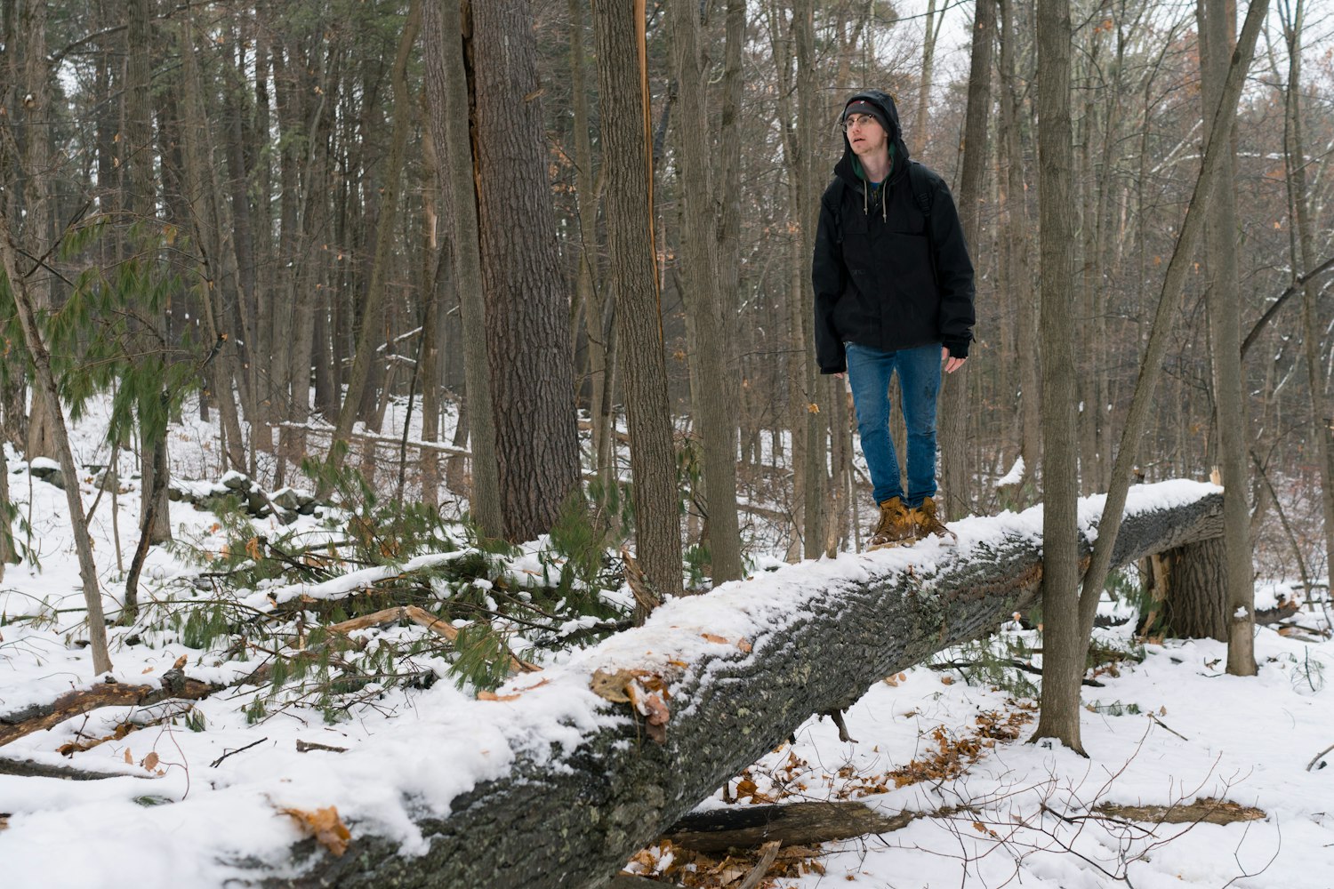 衡山最新资讯探索与发现之旅