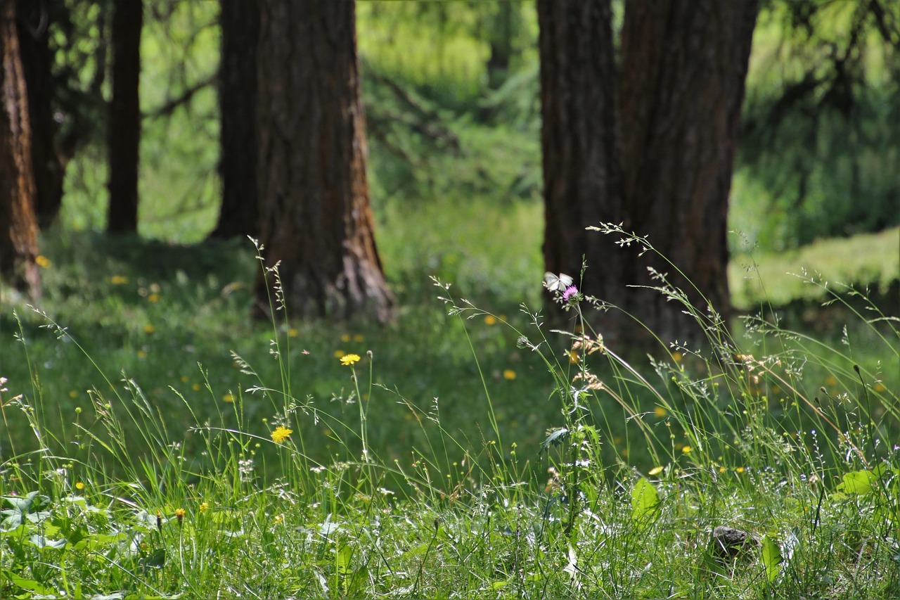 永贵电器引领行业变革,塑造未来智能生活新动态