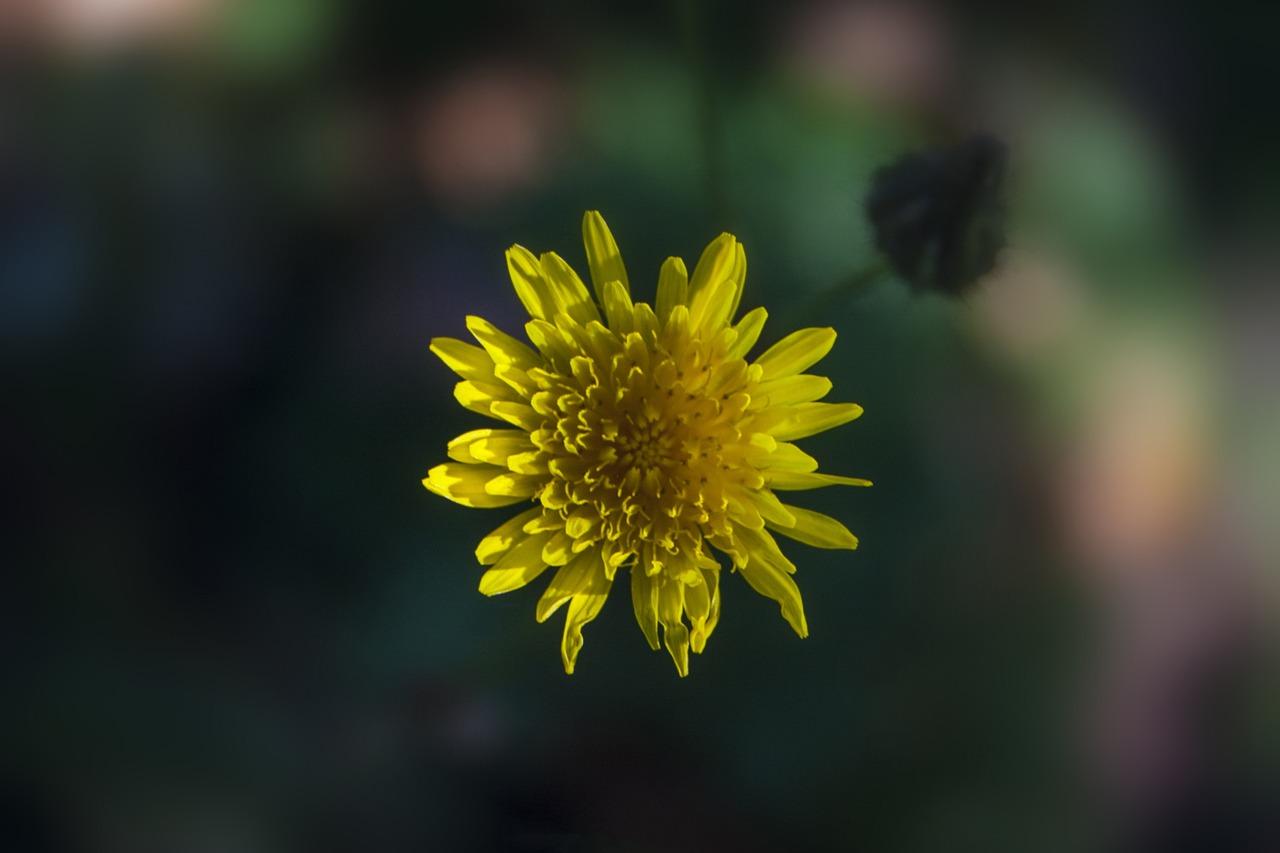 大同机车厂最新贴吧动态更新