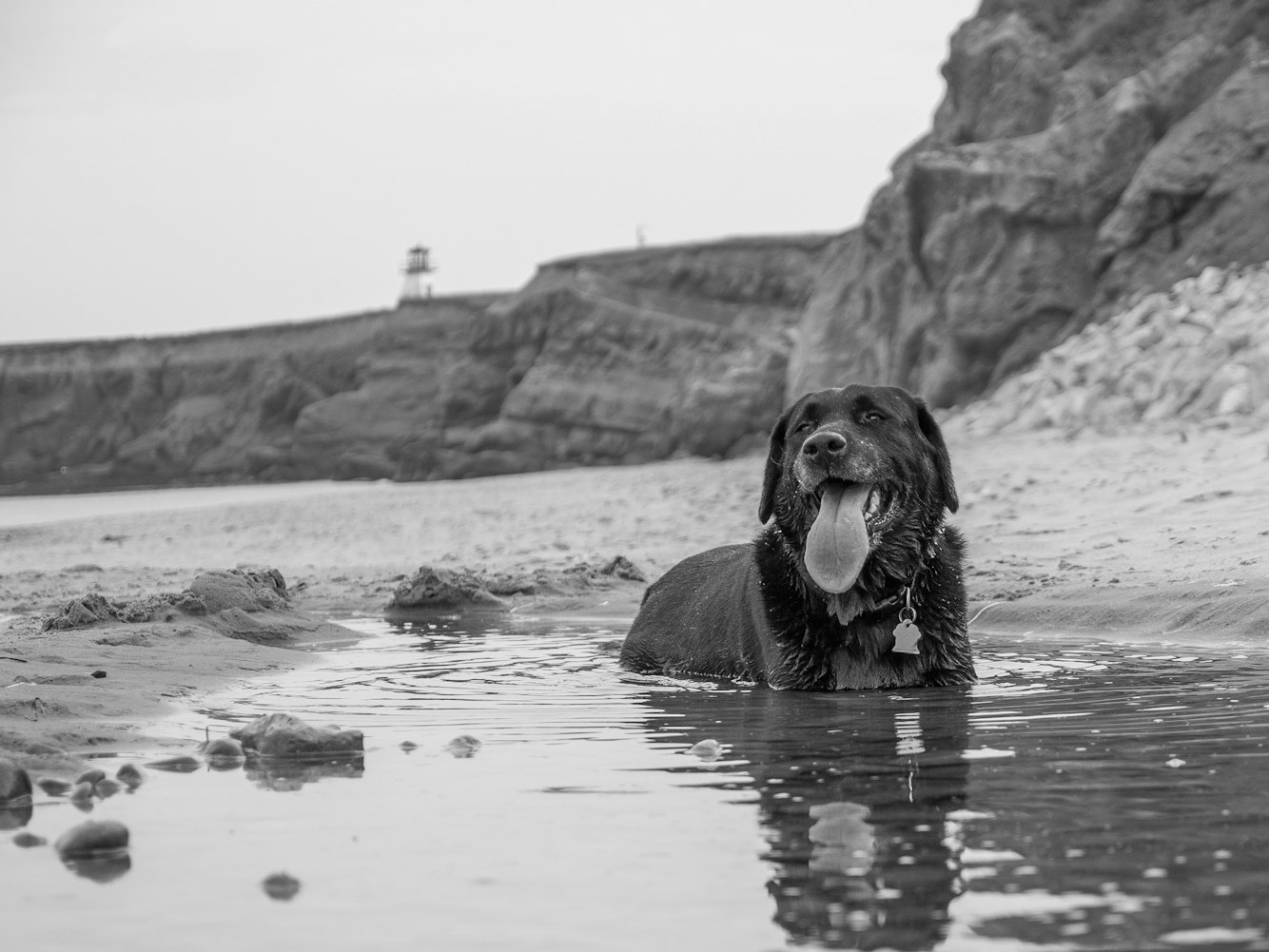 凯竹动态更新,引领技术革新,塑造未来之光之星