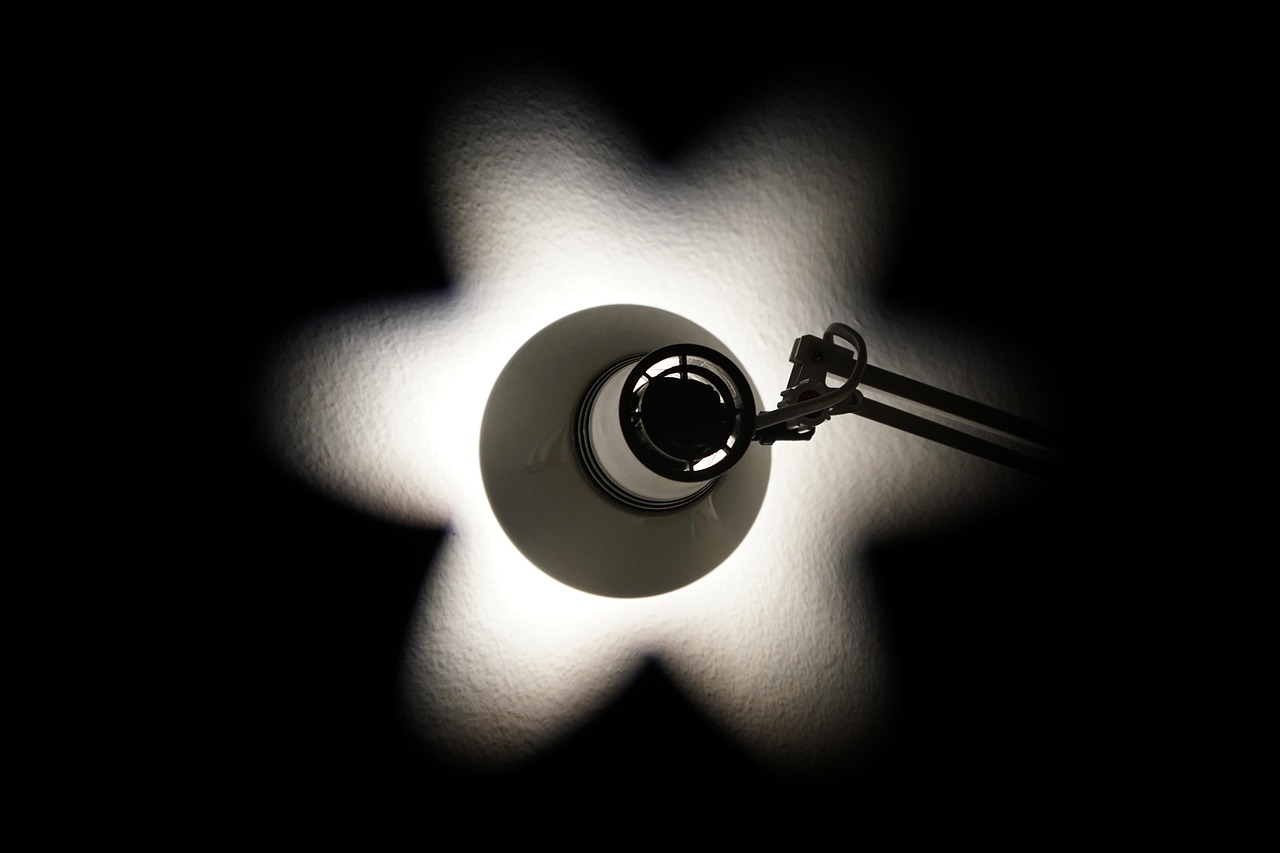 凯竹动态更新,引领技术革新,塑造未来之光之星