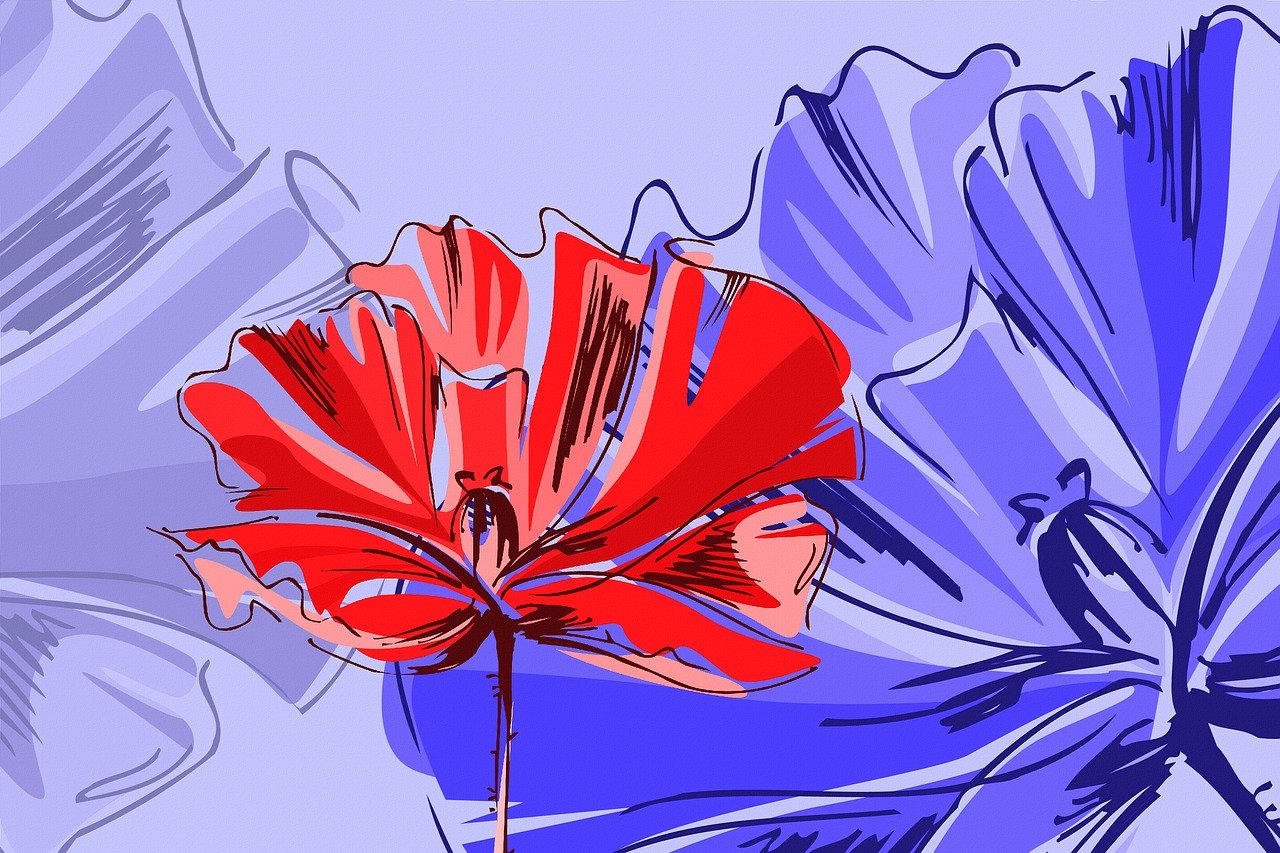 湖州最新资讯概览,最新动态与资讯汇总