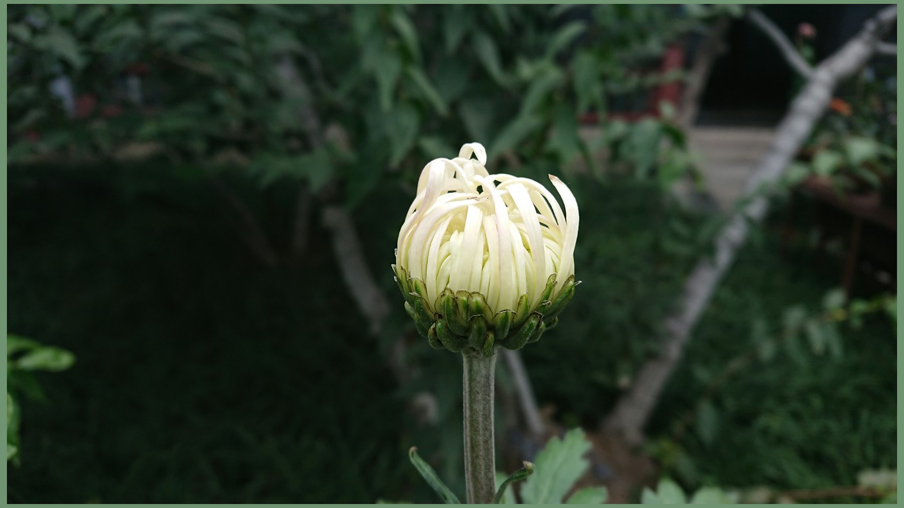 济南最新动态,城市发展的脉搏与泉城风采的活力四溢展现