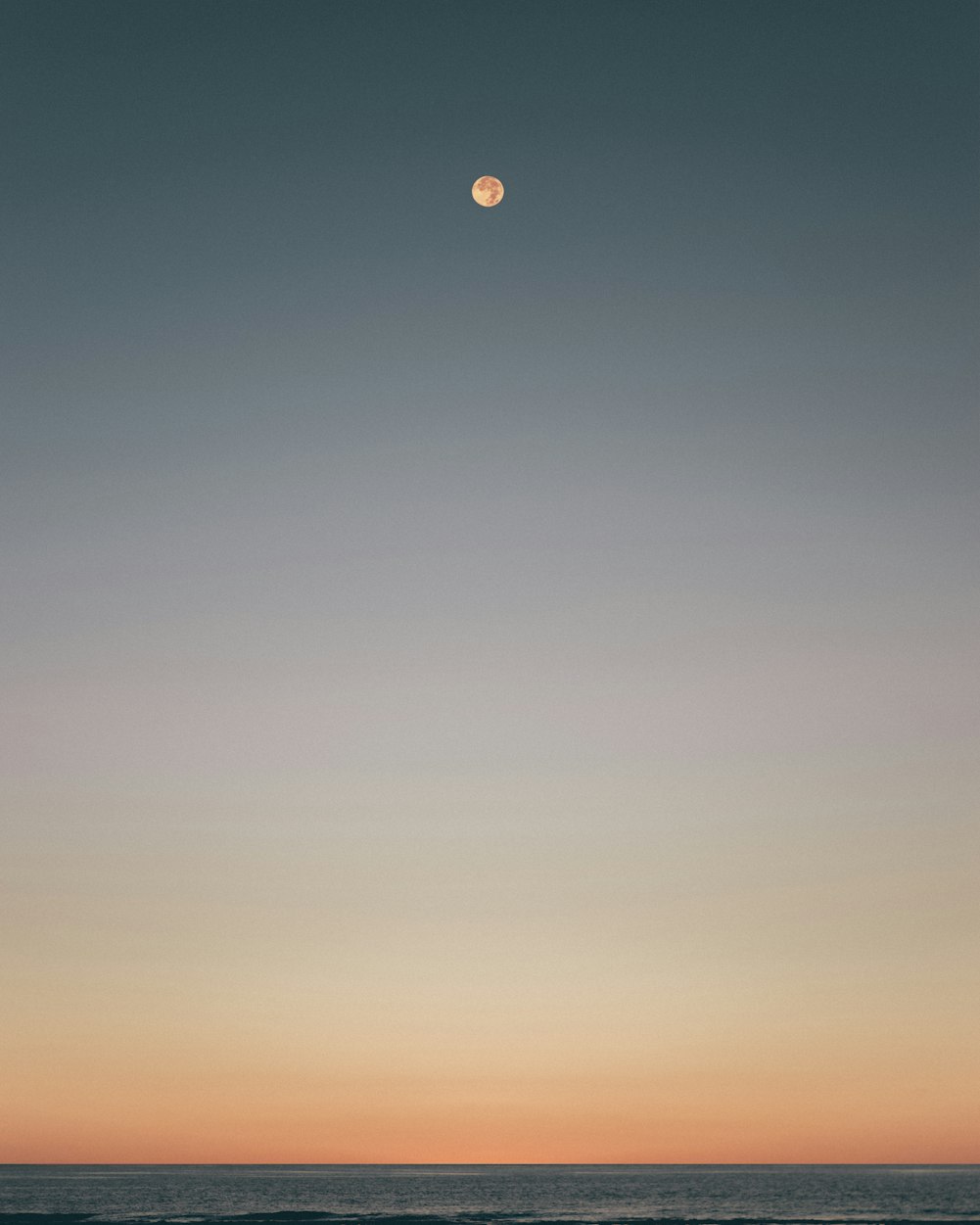 光影交织的艺术空间,阳光电影吧探索之旅