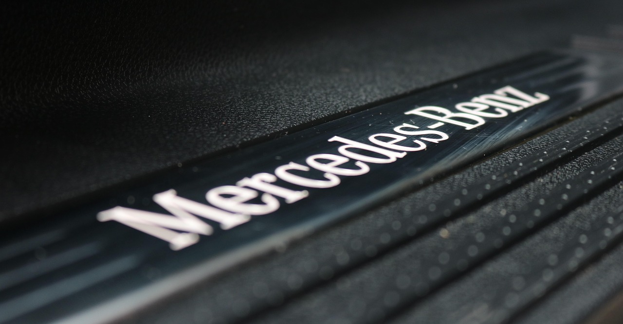 蒜苗市场价格动态,影响因素、趋势分析与预测报告揭秘未来走势