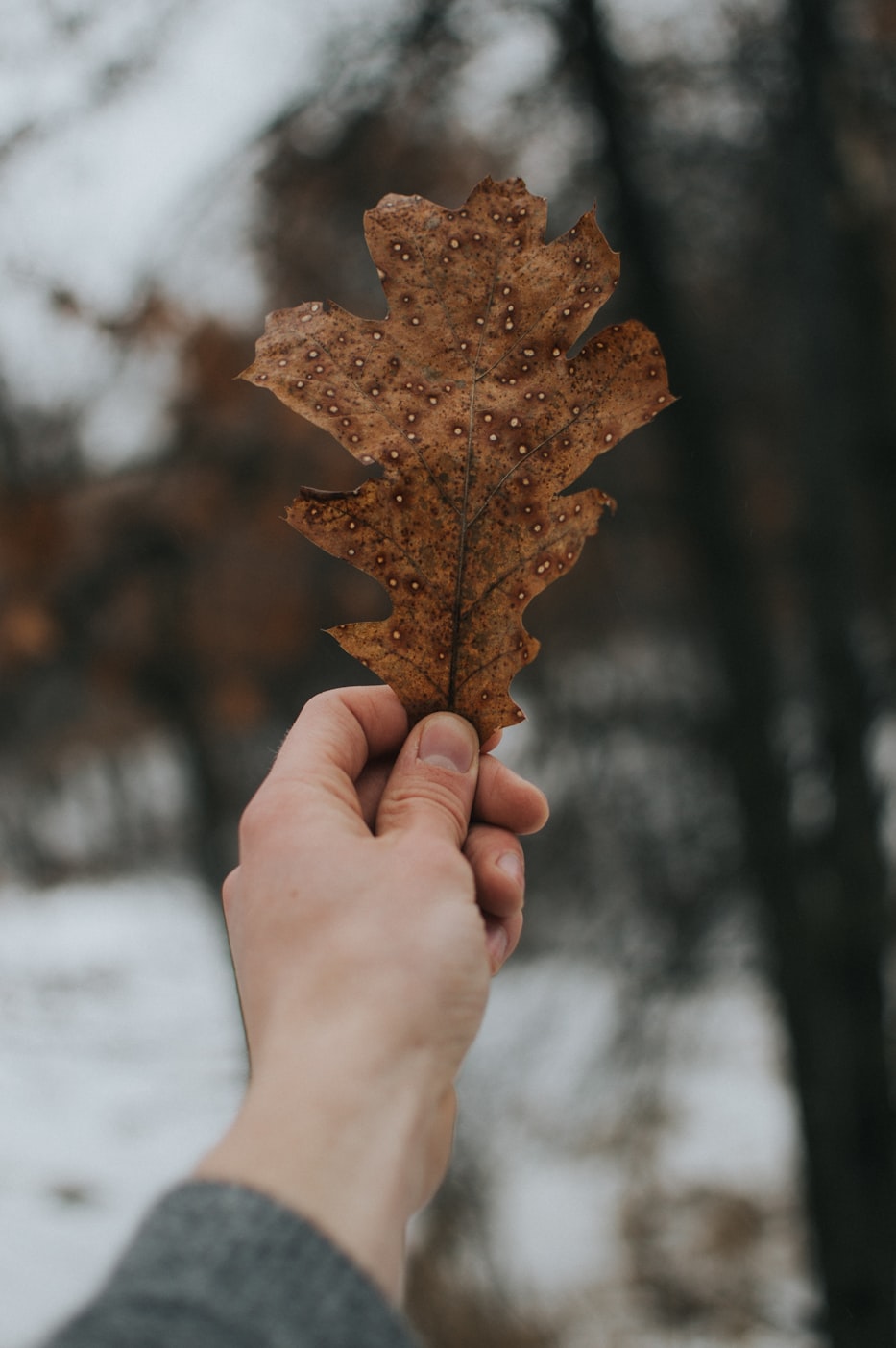 电影切肤之爱，深度探索情感与复杂人性的旅程