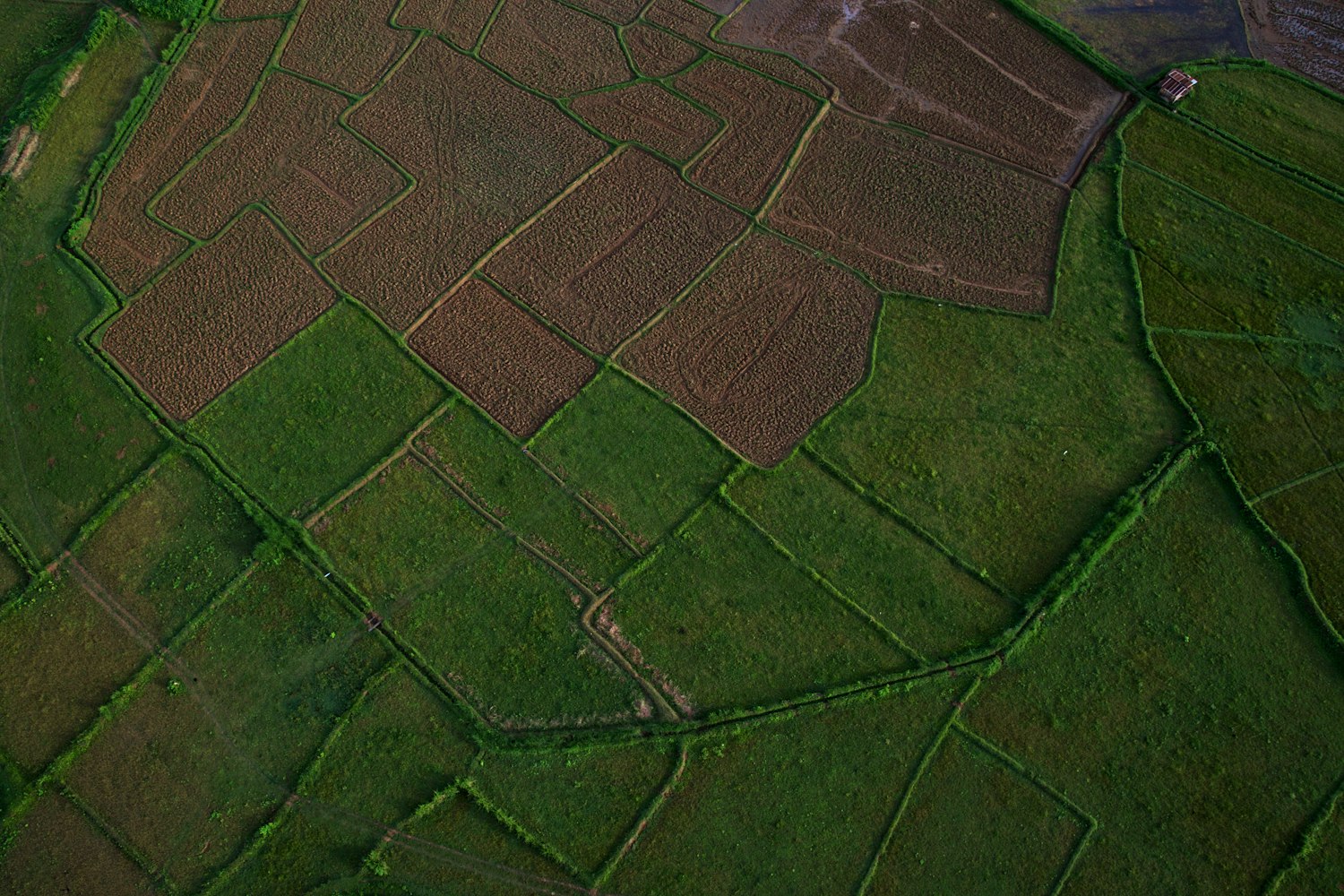 全国最新免费资源,探索、利用与获取秘籍