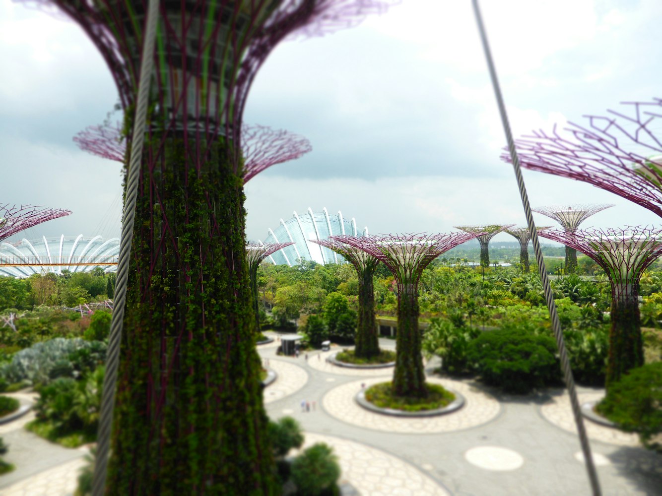 城市绿化与环境改善,园林办最新通知详解