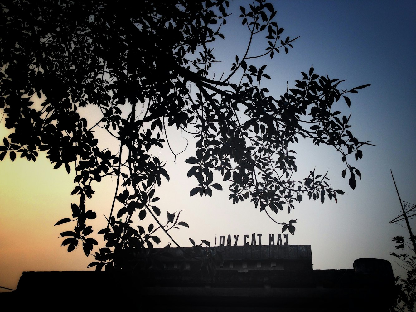 最好的我们电影图片，青春记忆与影像的永恒