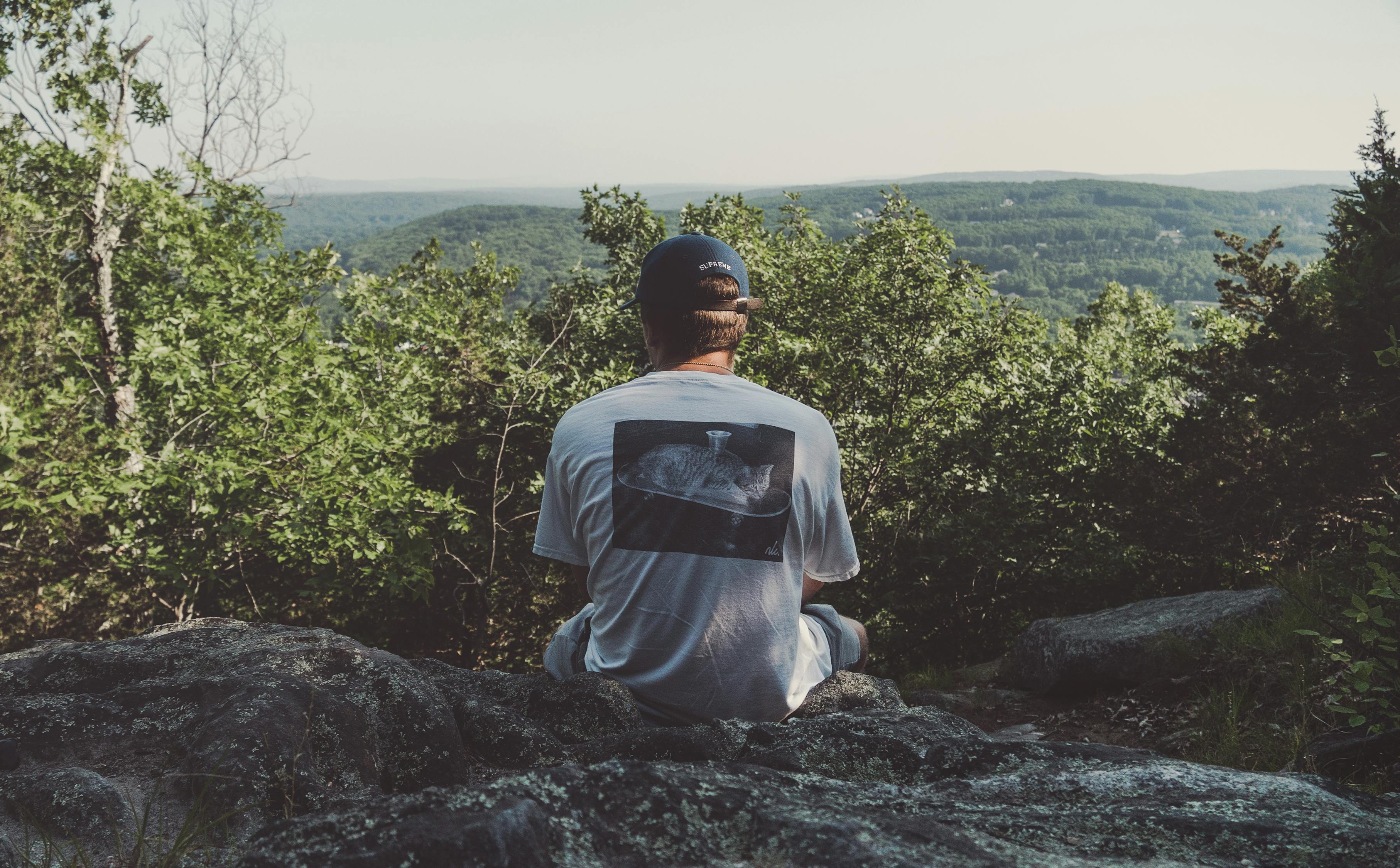 霍长渊林宛白最新故事探秘,更新后的情感纠葛与冒险之旅