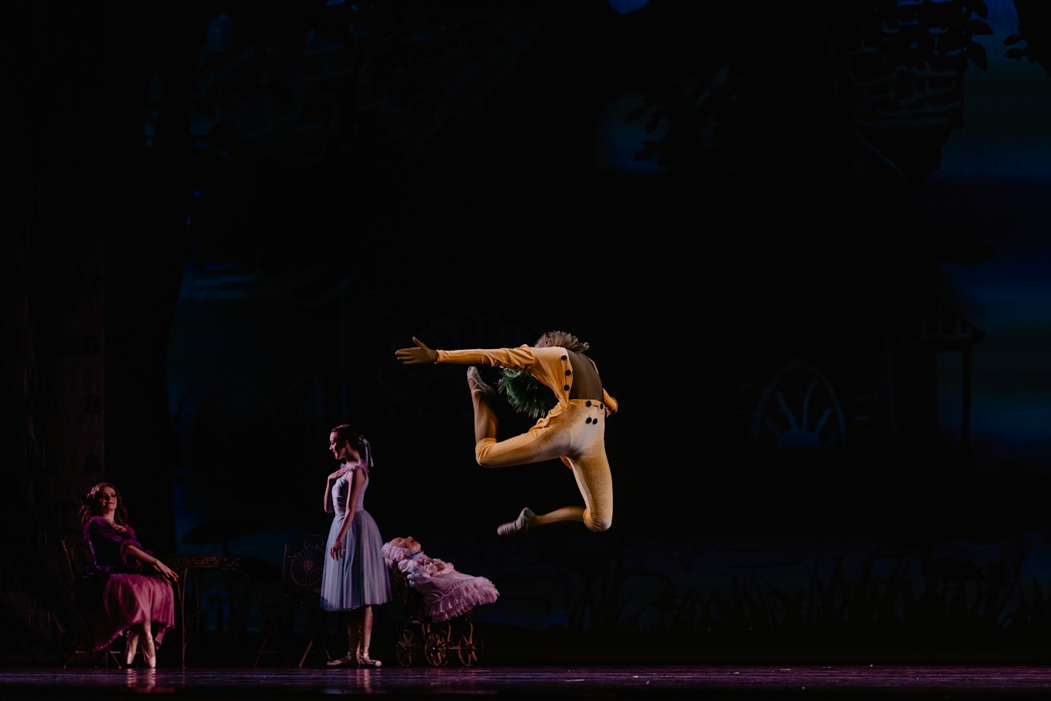 音乐剧猫演员,舞台上的璀璨明星之旅