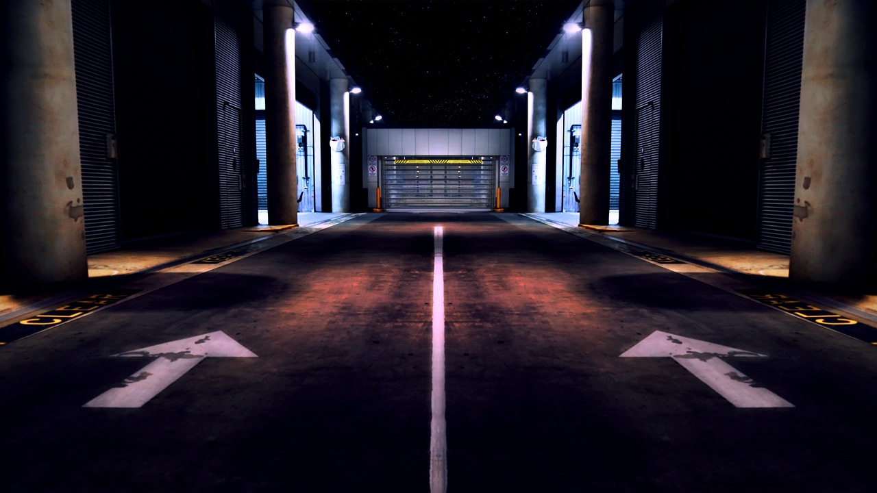 最新刺槐采购信息详解,全面了解采购动态与需求