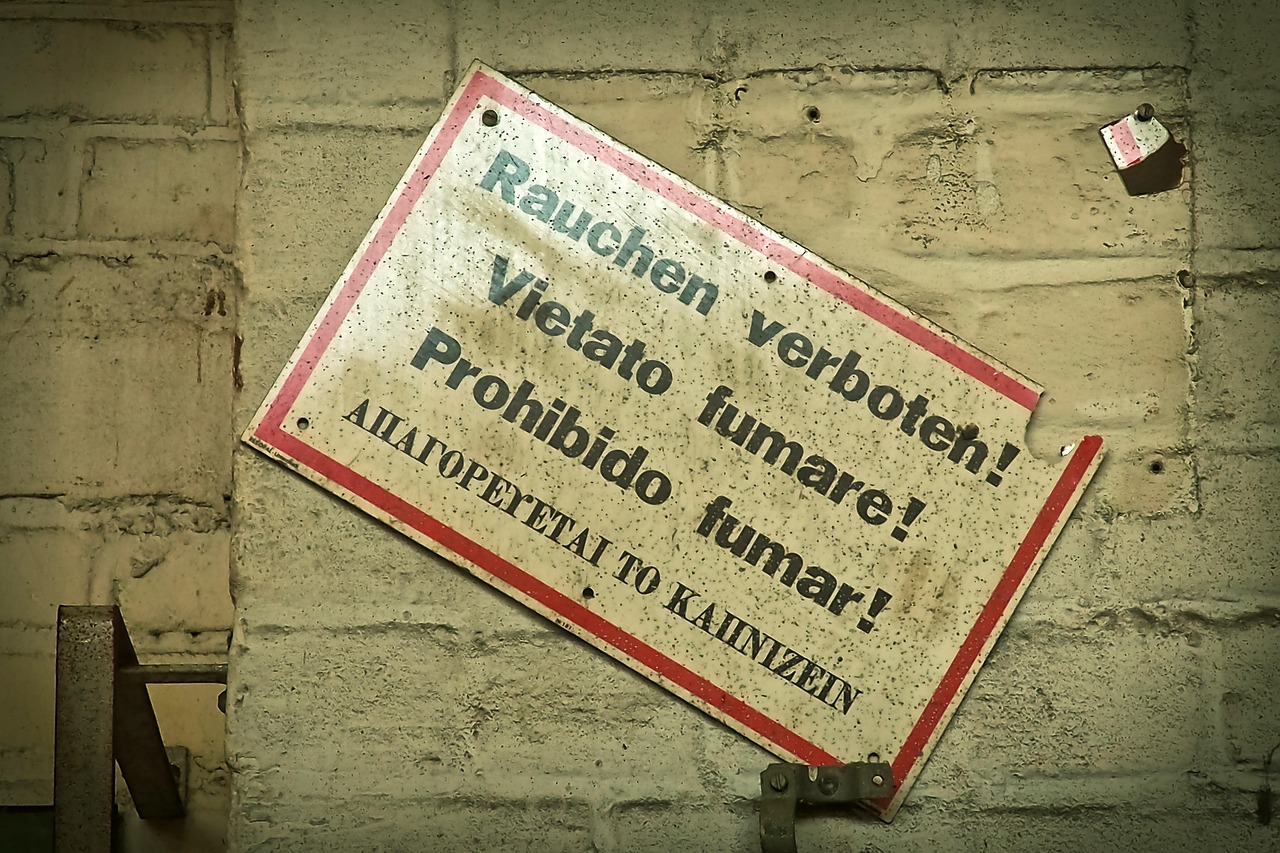 旧人民币价格大全,一览表汇总