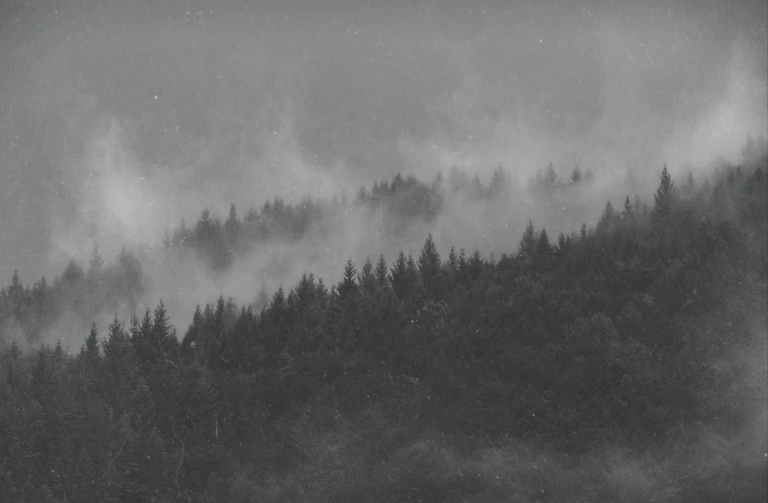 最新诡异图片,探索神秘世界的奇异魅力,令人惊叹的视觉探险