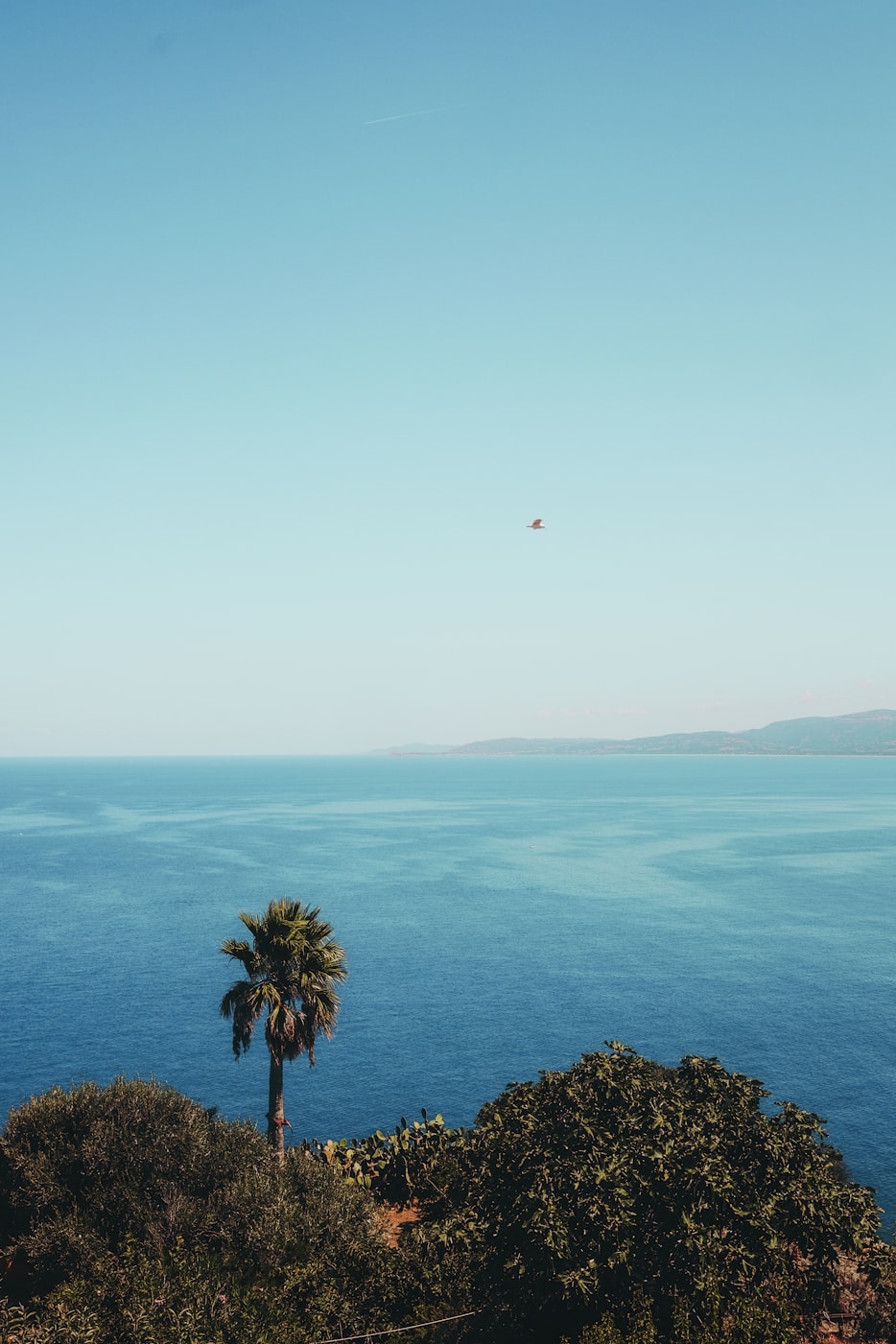 宝骏310W最新动态,探索未来,全新升级的魅力之旅