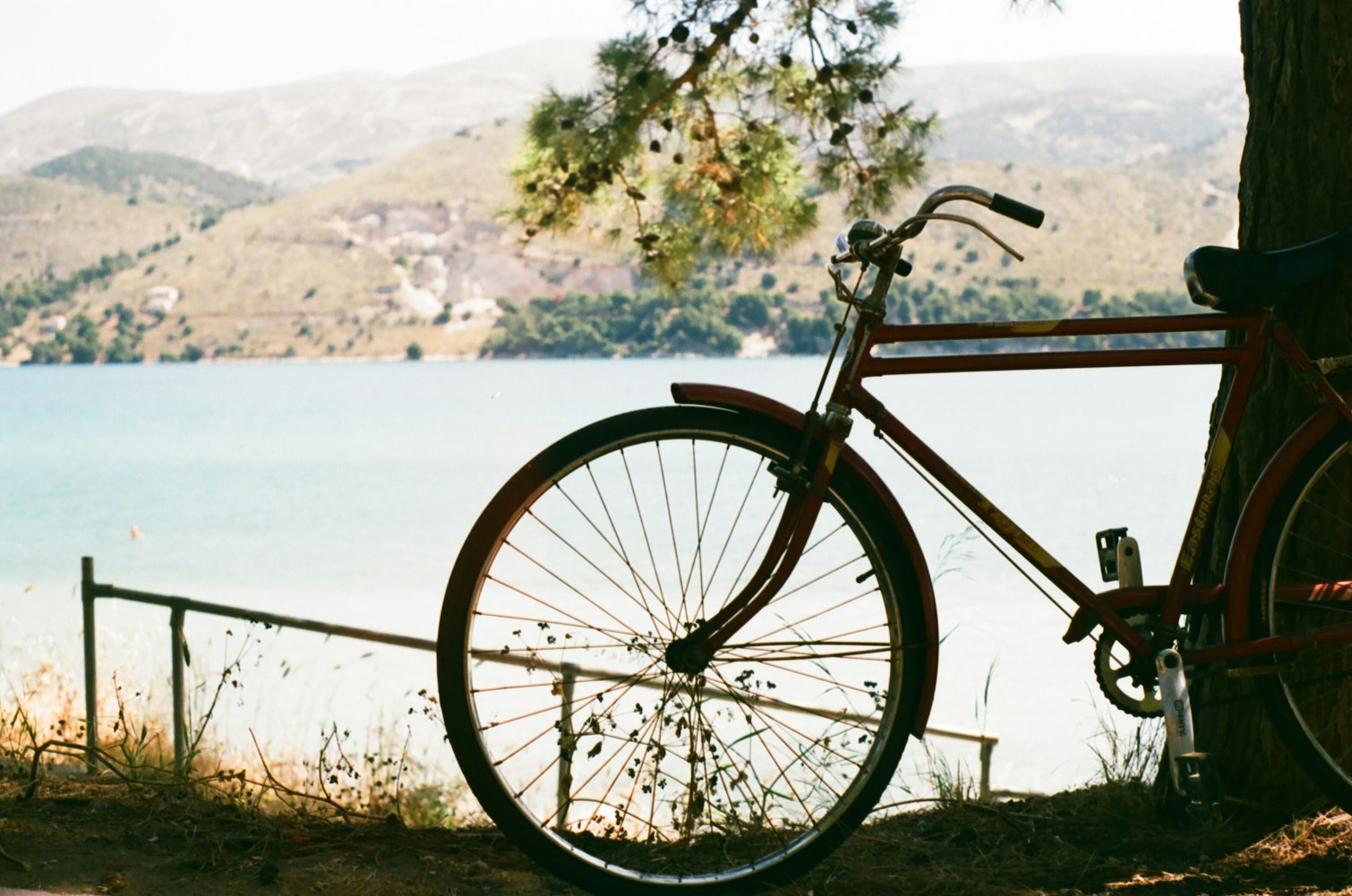 成都自行车比赛,速度与激情的盛宴