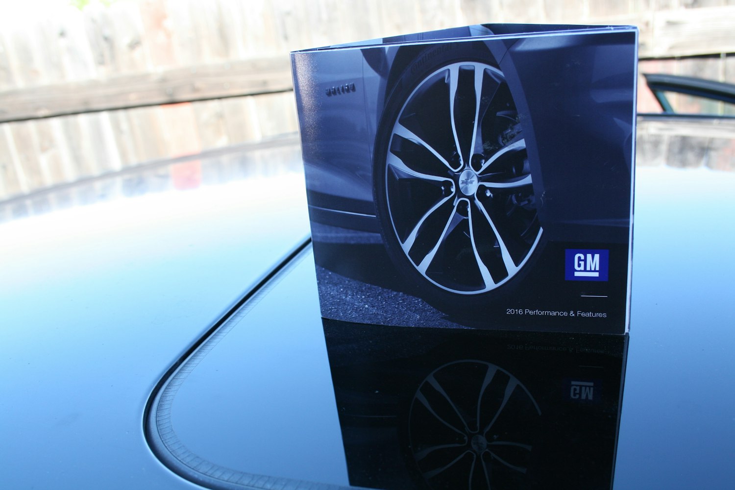 动漫与动态图的魅力交织,动态图展现动漫风采