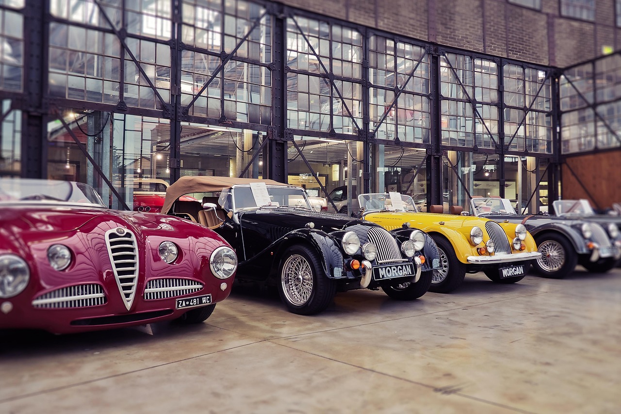 动漫与动态图的魅力交织,动态图展现动漫风采