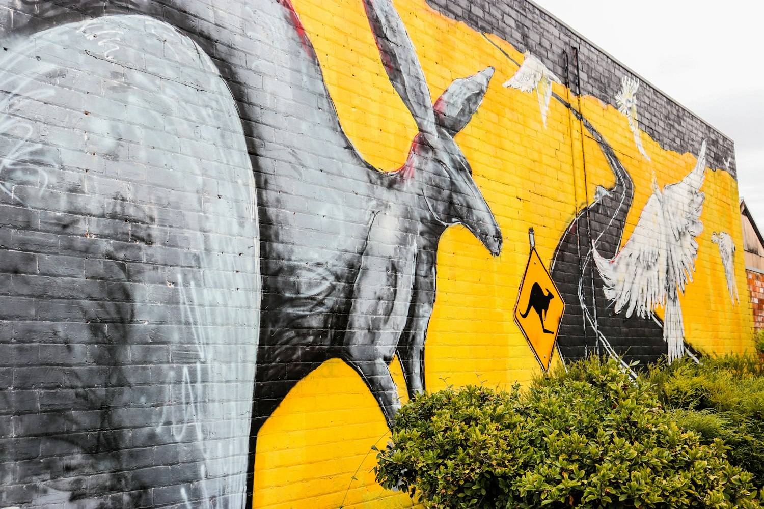 韩国最新限制级作品,探索艺术边缘的勇敢挑战