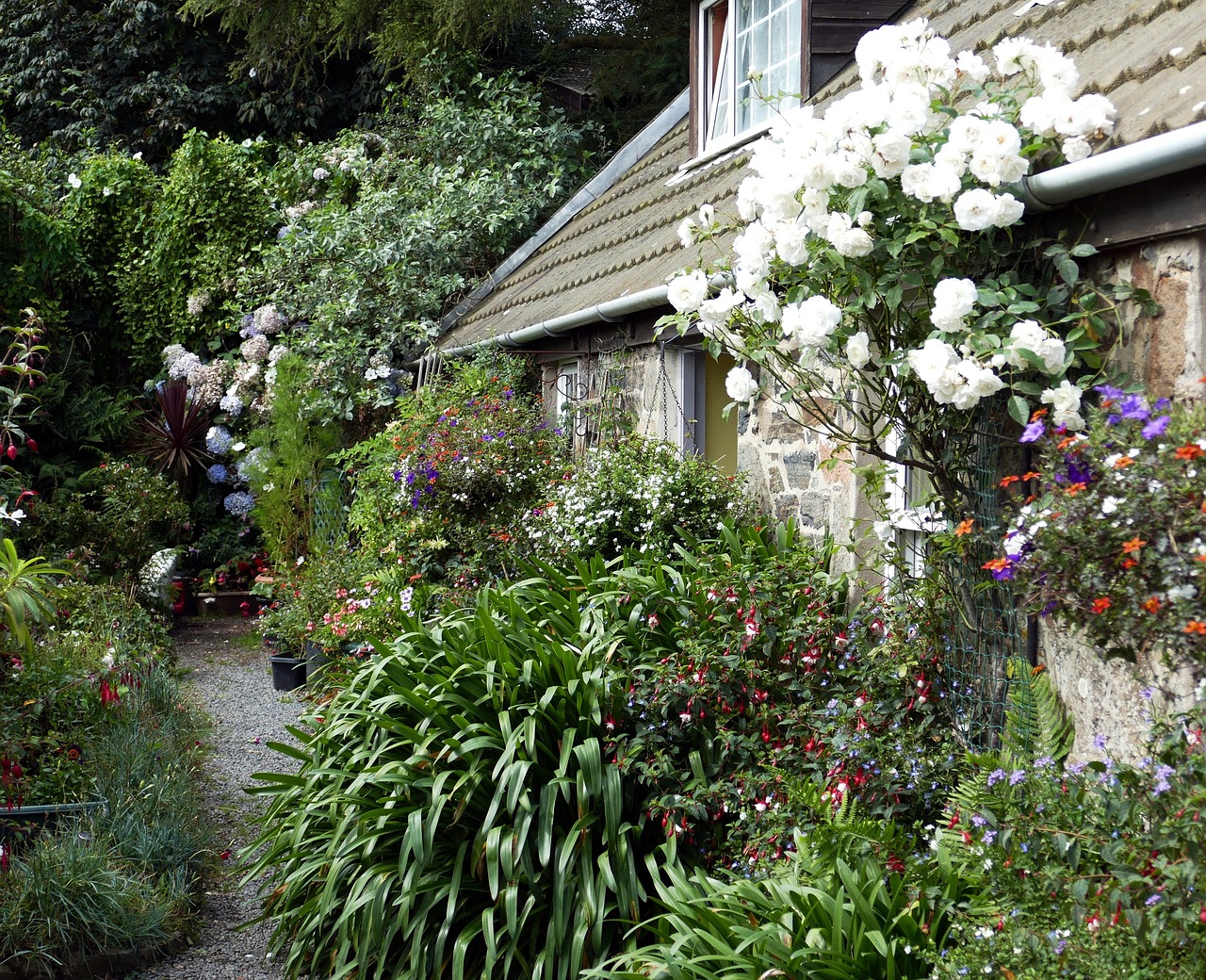 淮北皇家花园最新动态更新