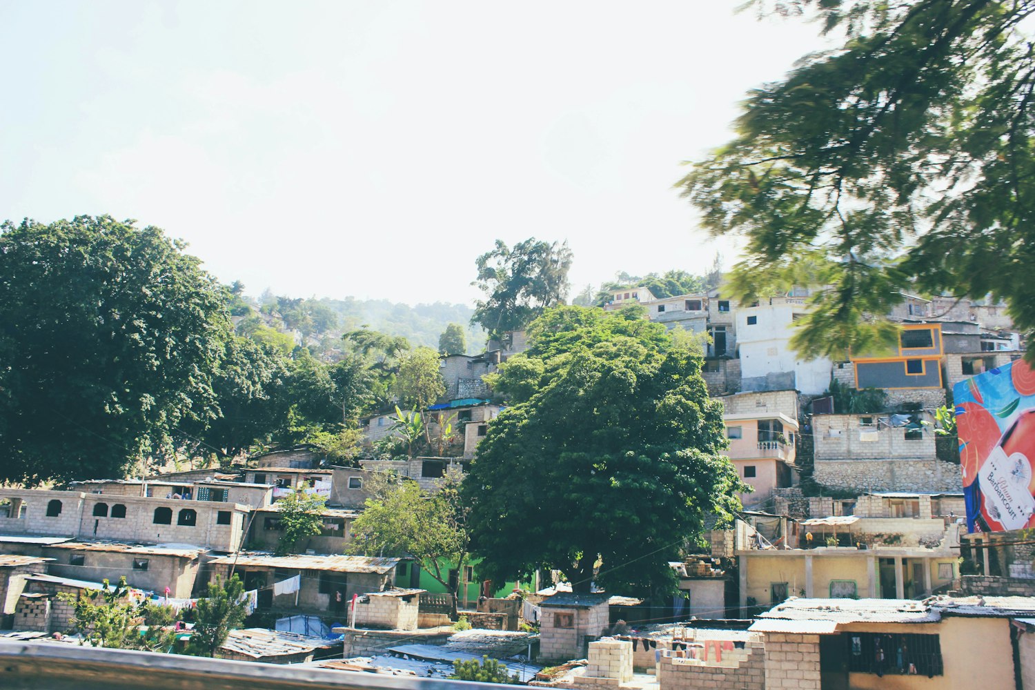 中牟城市发展热点速递,新鲜资讯一网打尽