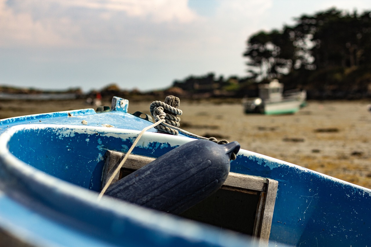 内蒙古疫情最新动态，全面应对，守护家园安宁的抗疫行动