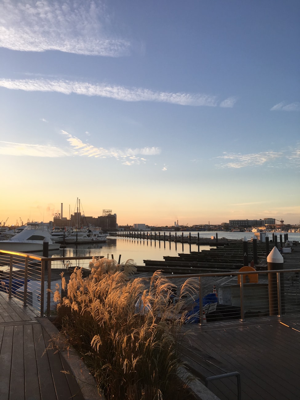 美国疫情最新进展，挑战与希望的并存之路