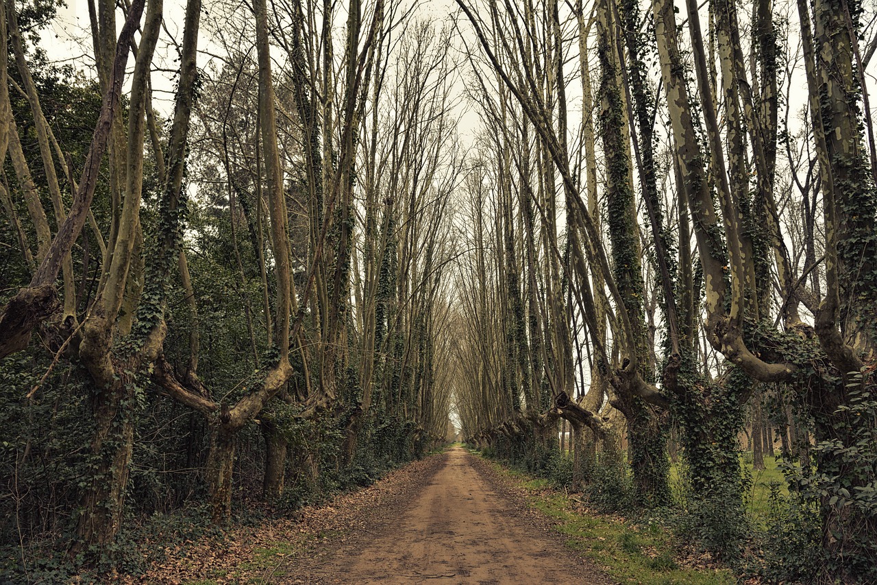 陕西全面复苏与持续发展的复工最新动态及路径探索