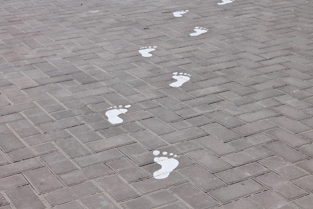 杨东来最新动态,迈向未来的步伐与声音揭秘