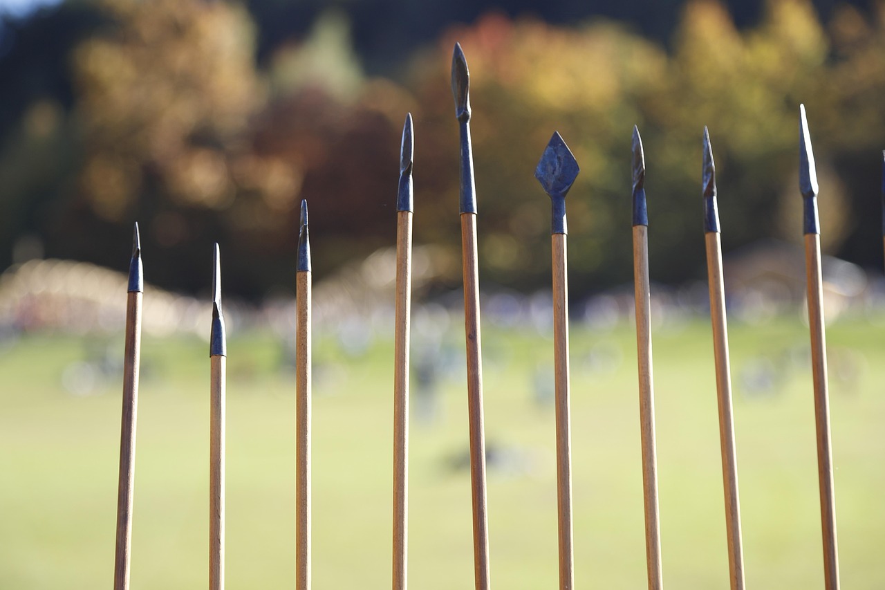 越南战争最新动态,历史与现实的交织