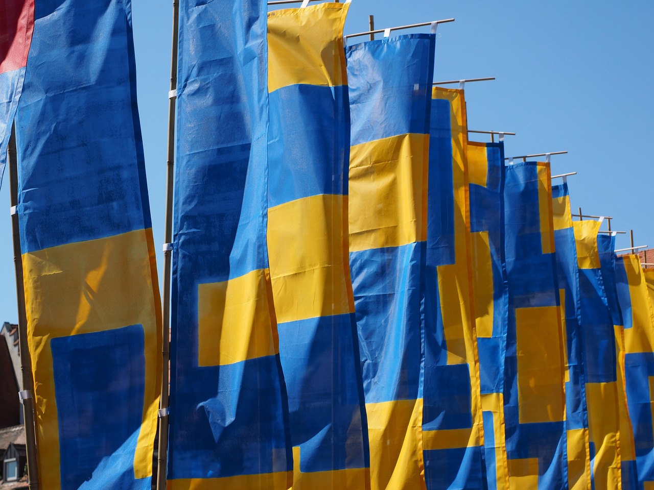 镇平财富家族最新动态揭秘,最新消息一网打尽!