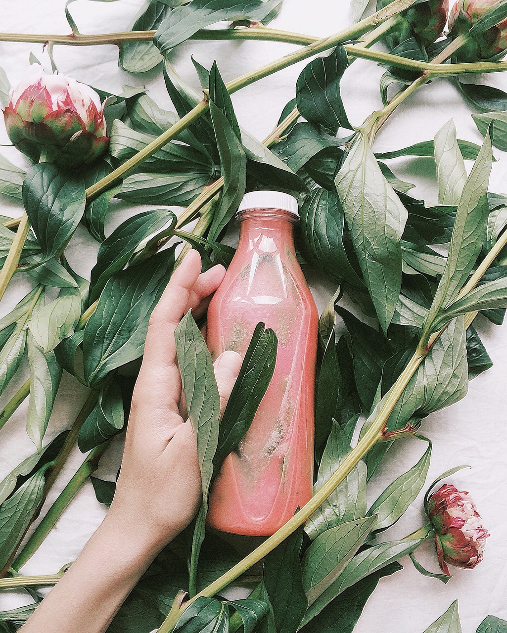 上海水果行情深度解析与探讨