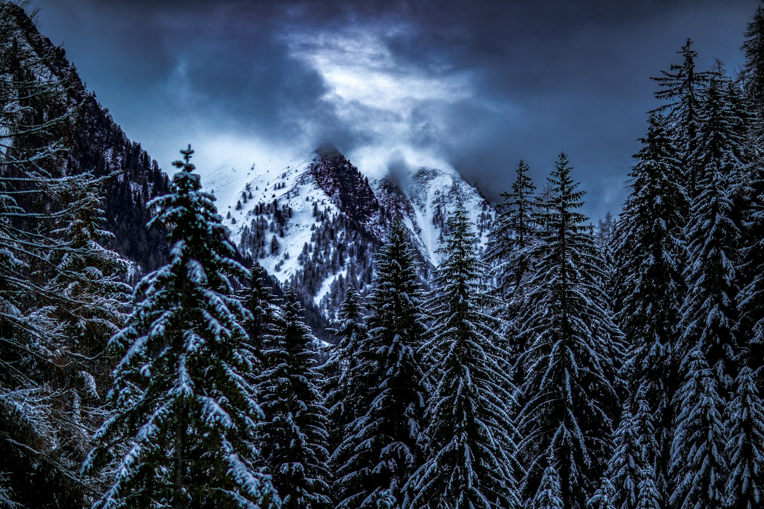 焦作市二手房最新资讯概览,市场动态与交易热点分析