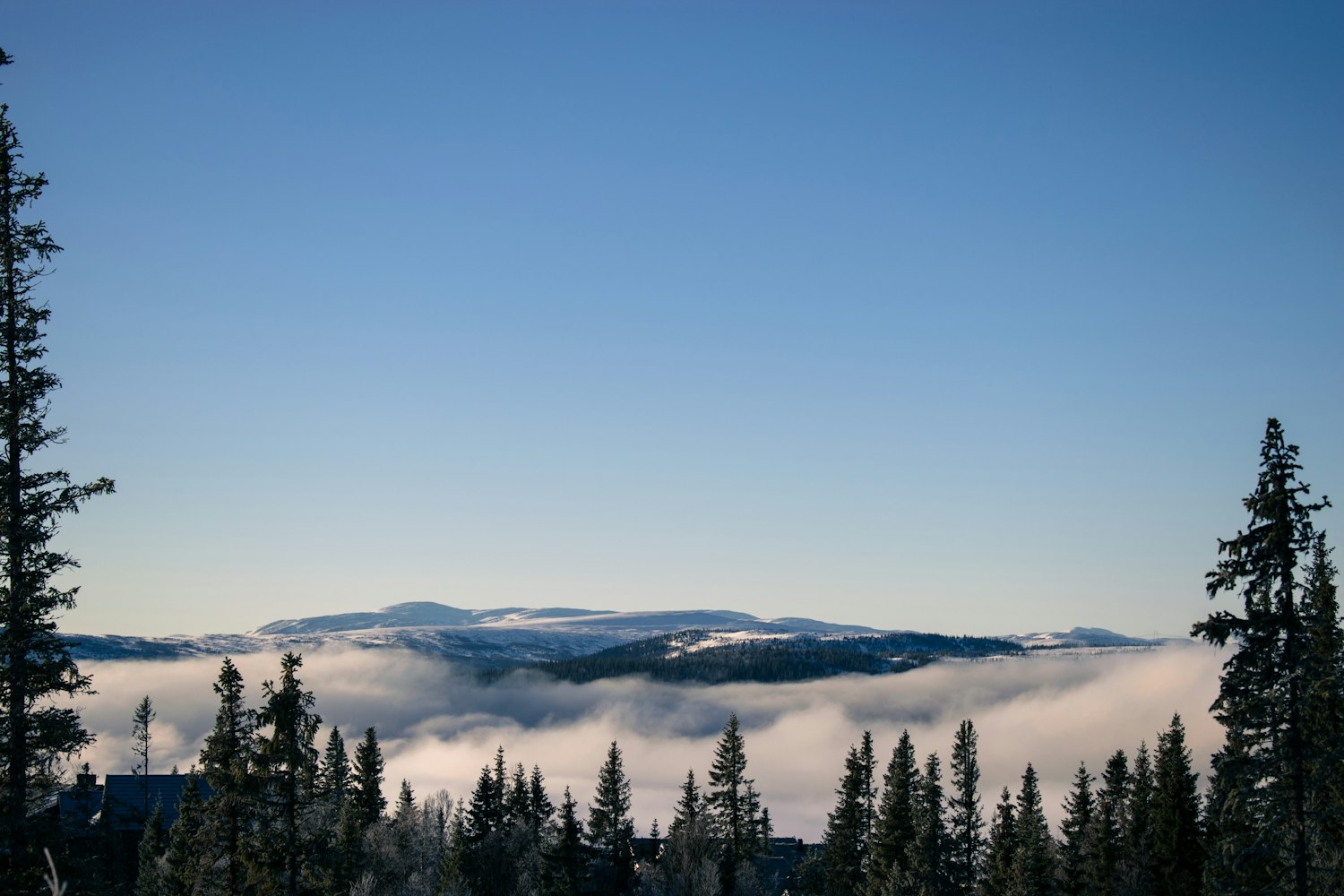 焦作市二手房最新资讯概览,市场动态与交易热点分析