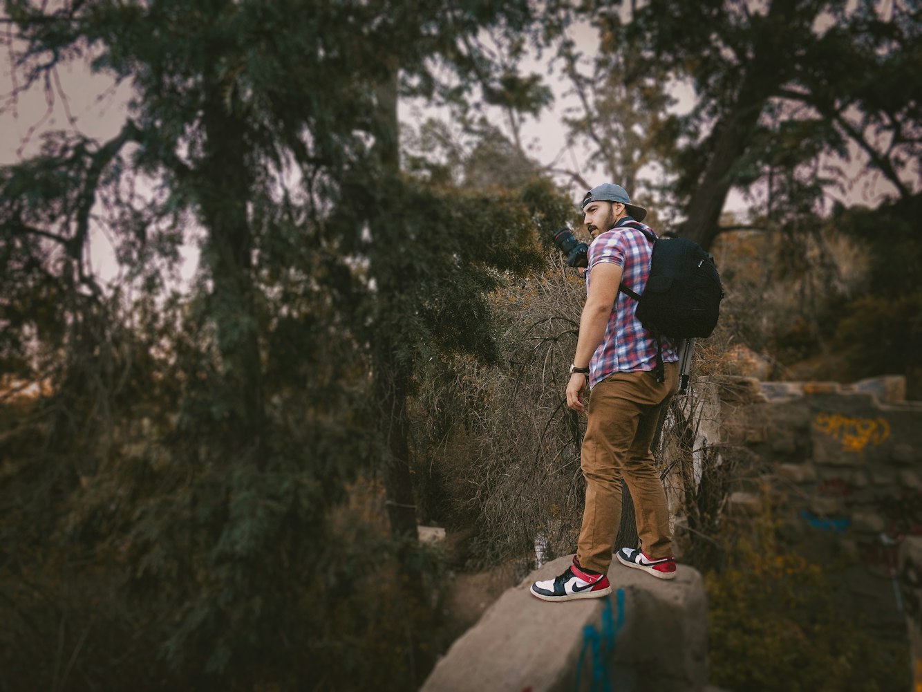 小九电影,影视魅力的独特之旅探索