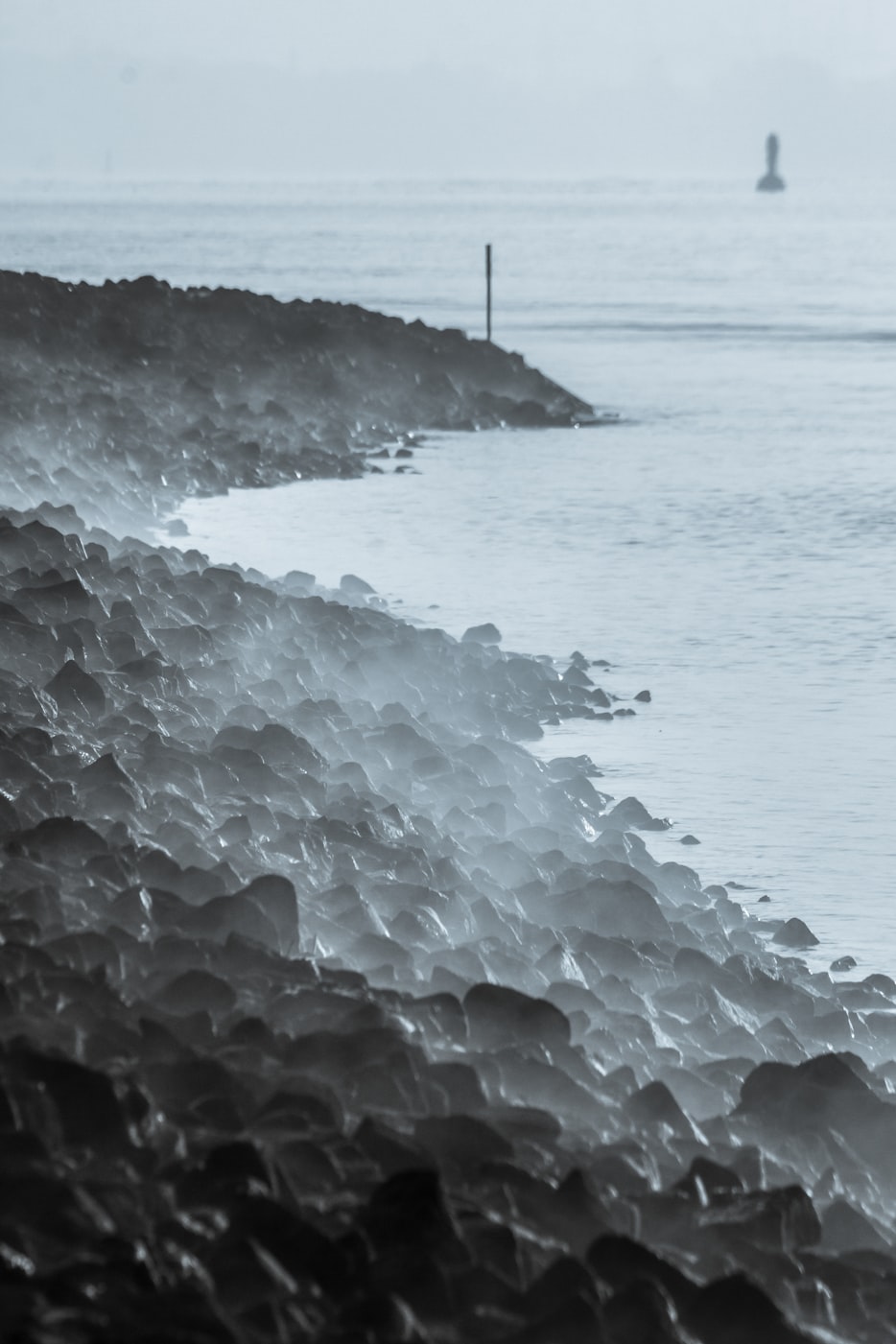 清晨小雨的最新生活色彩