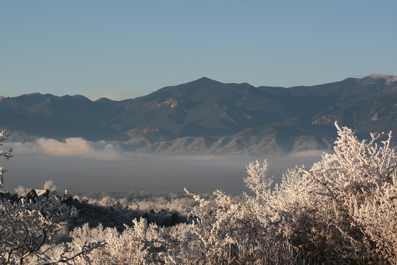 榆林新闻网最新资讯概览，最新榆林新闻动态一网打尽