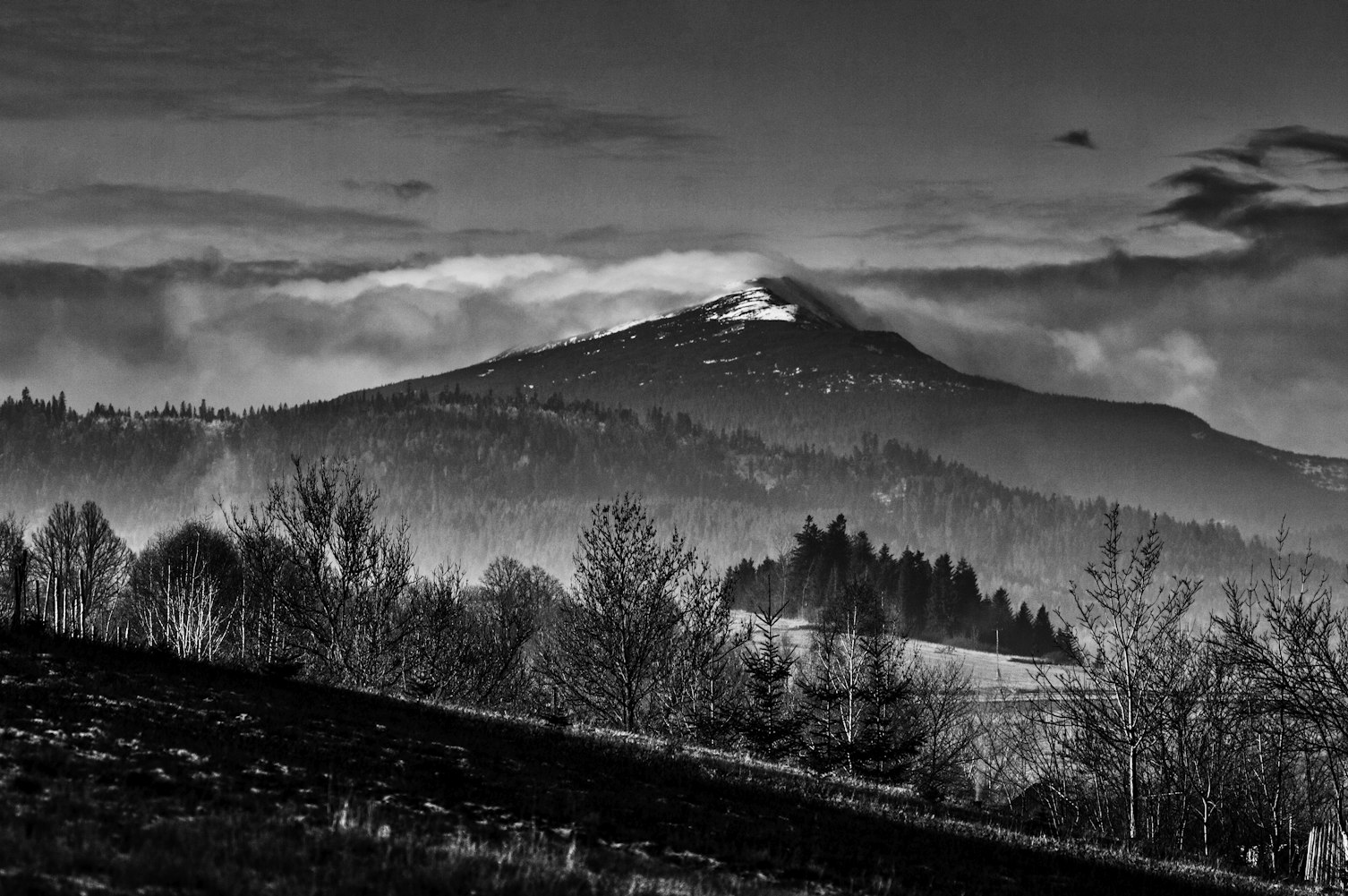 奥宸中央广场最新动态，城市新地标的发展与创新揭秘