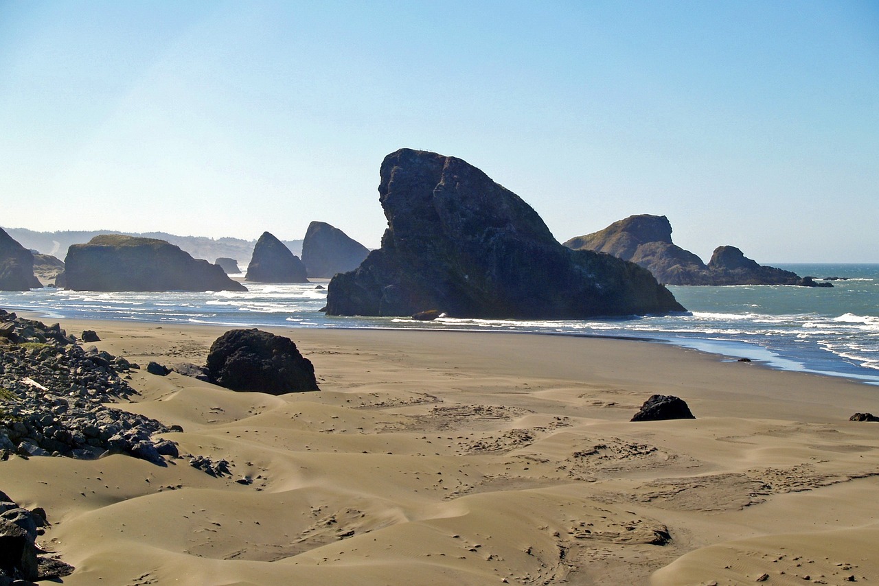 央行政策动态及其对市场的影响