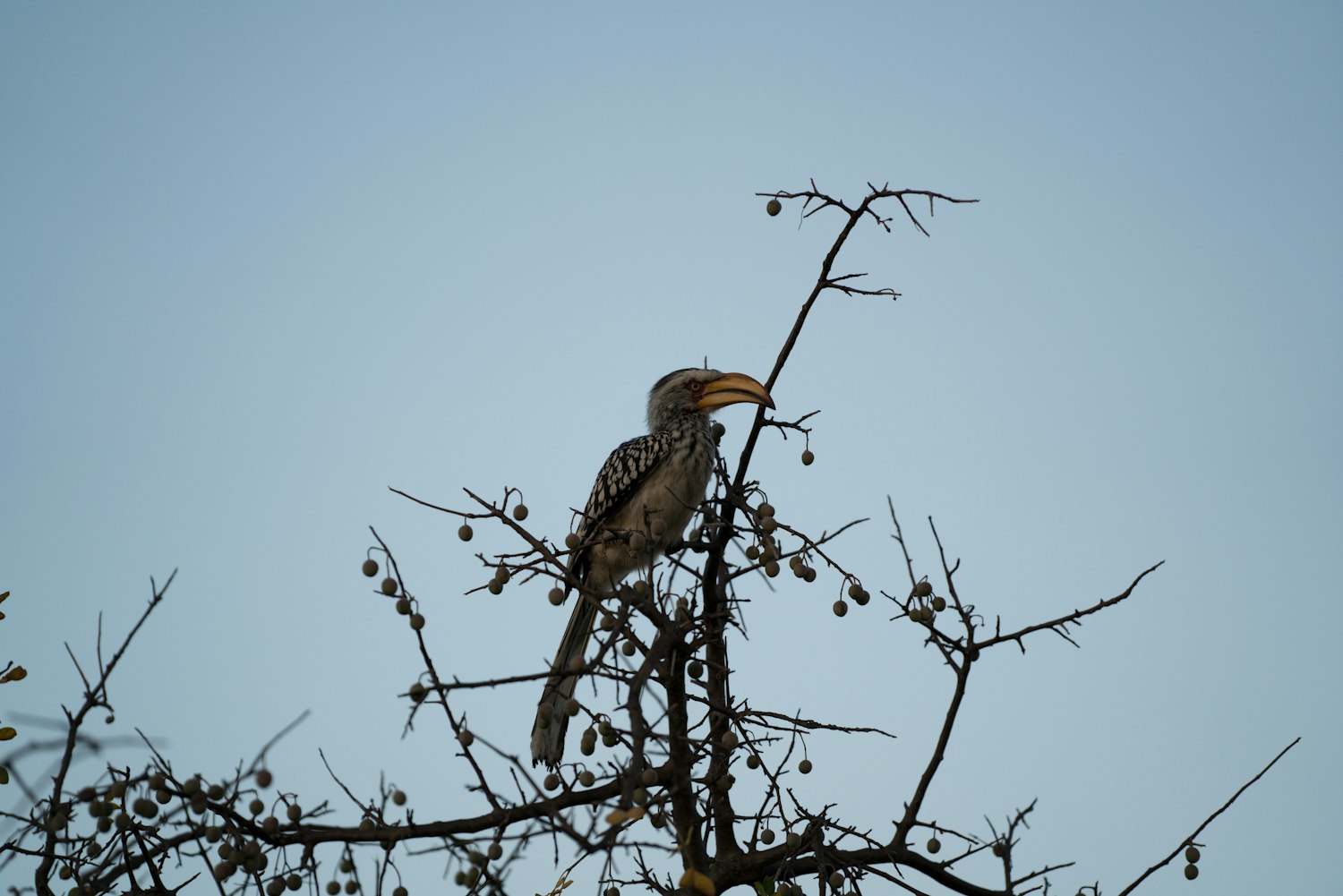 探索游戏世界最新动态，最新游戏资讯汇总