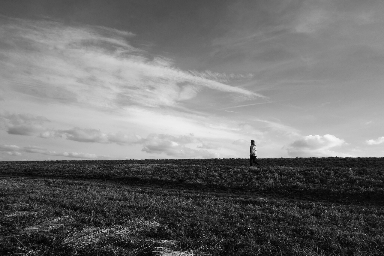 中国邮政招聘网最新招聘动态深度解析与招聘资讯速递