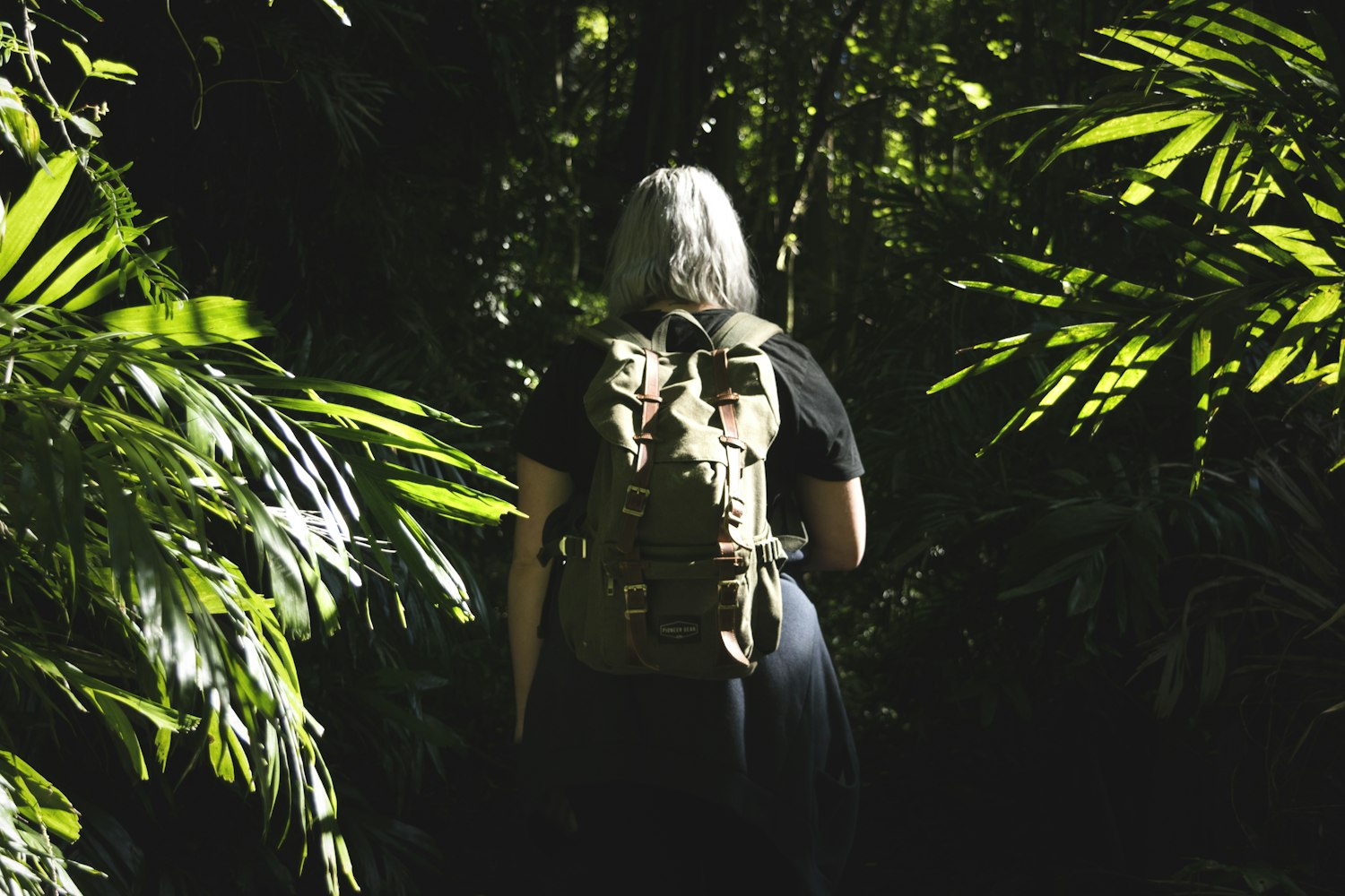 广西林业先锋蒋勇的探索与实践动态