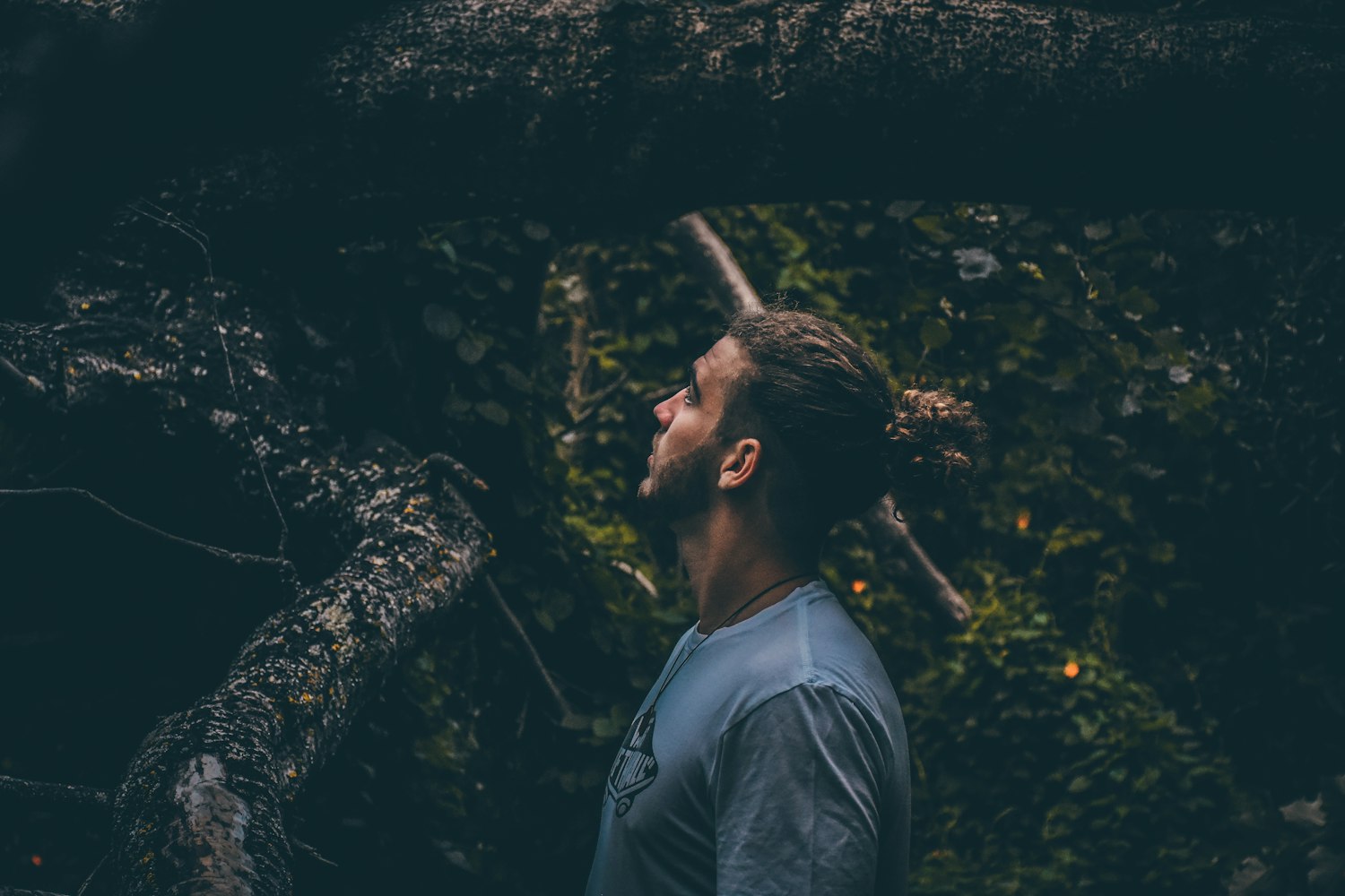 门头沟S1线最新动态，进展、影响与展望