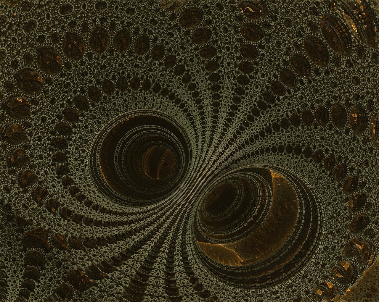 珠海双湖路最新动态，发展脉络、未来展望与道路进展